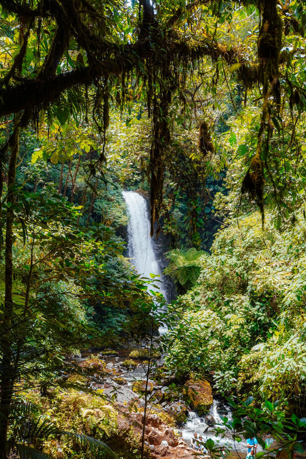 a small waterfall in the middle of a forest