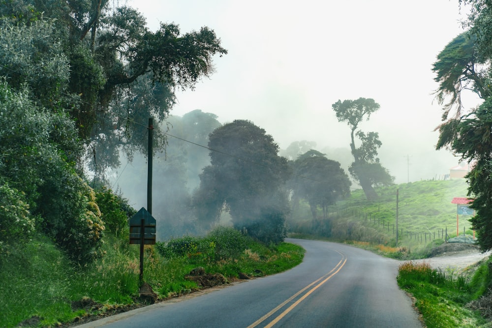 a foggy road in the middle of a lush green forest