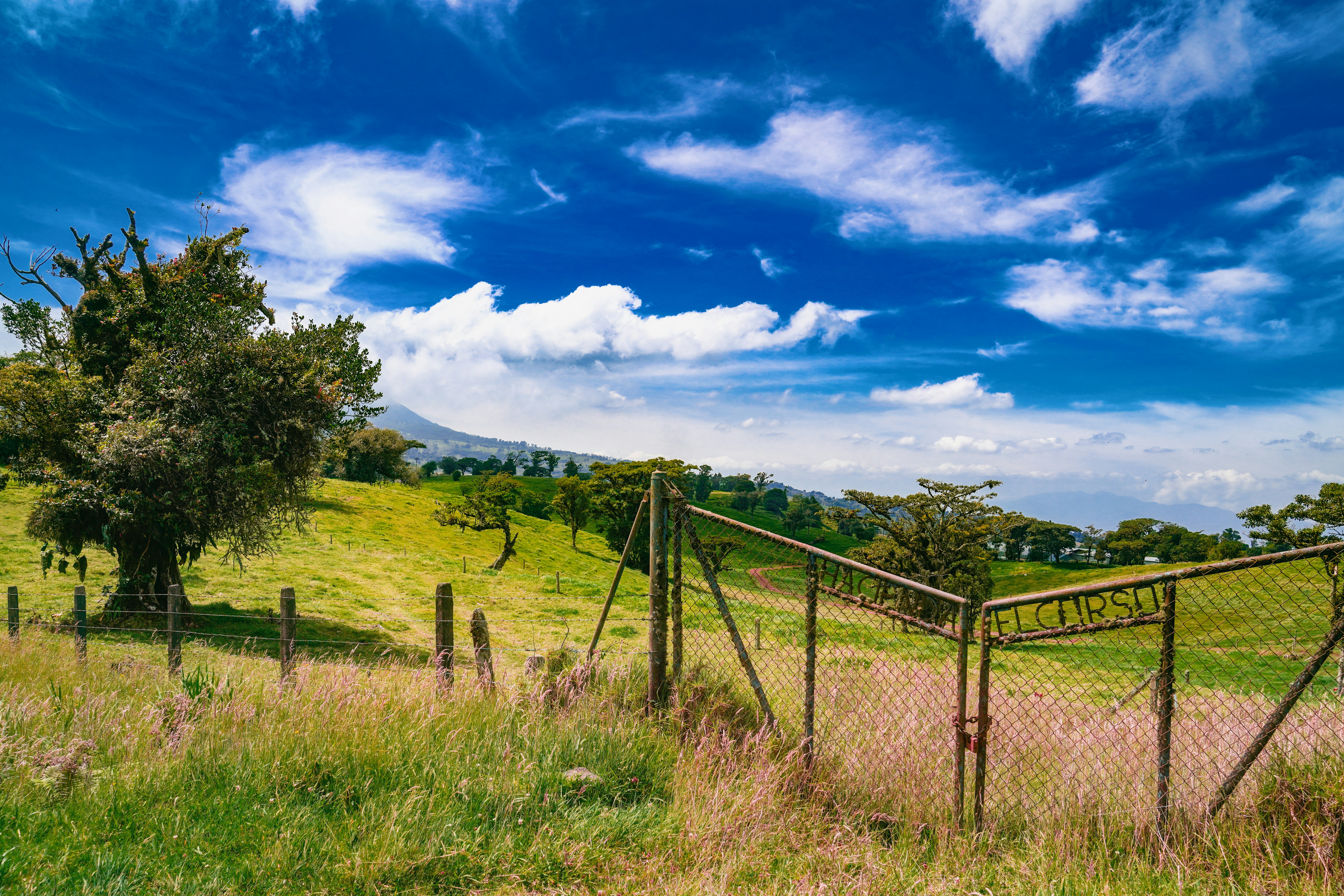 a fenced in field with a tree and mountains in the background