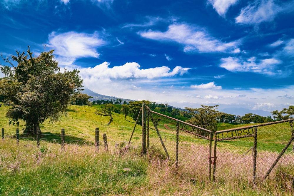 a fenced in field with a tree and mountains in the background