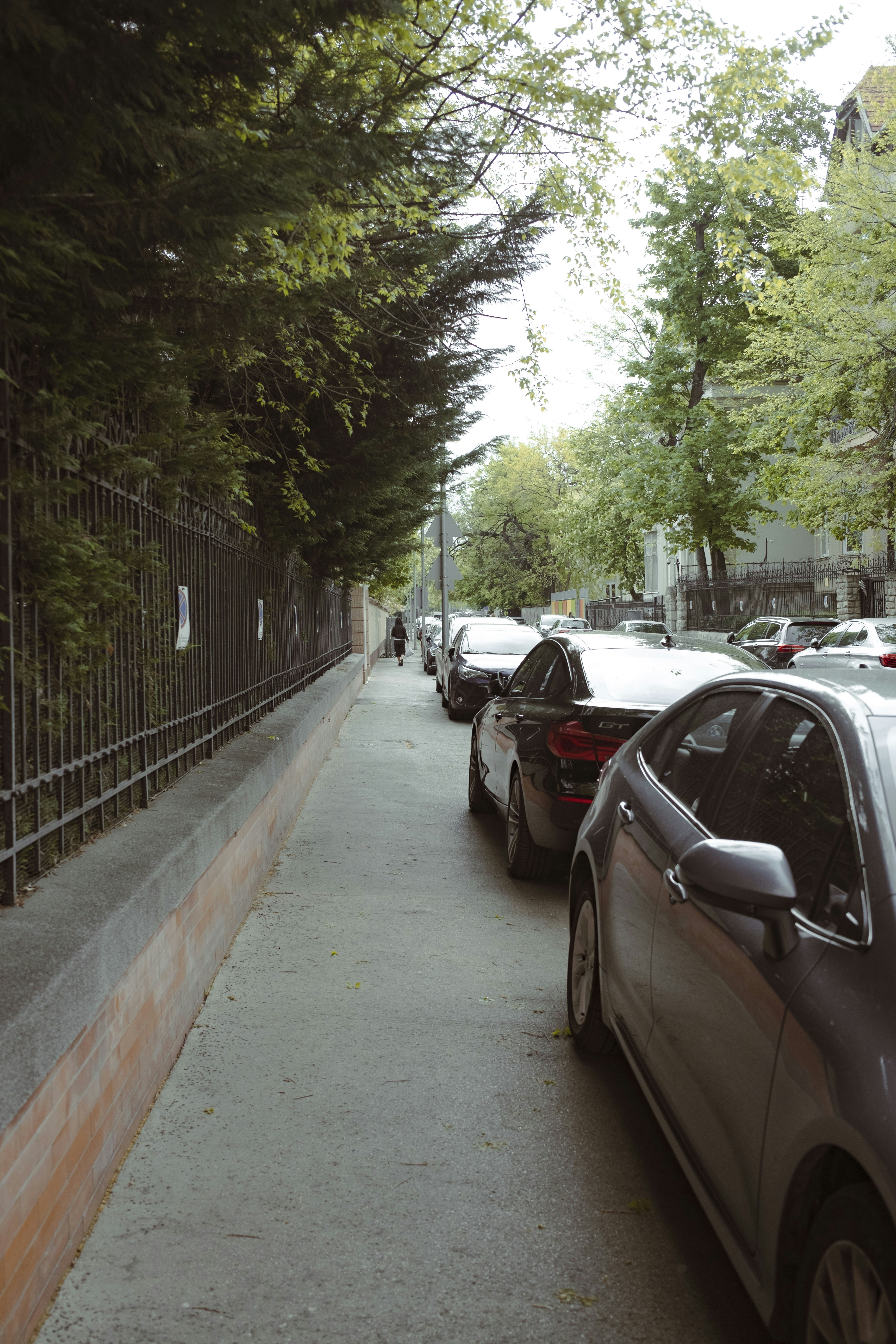 Photo by hvidkanin89