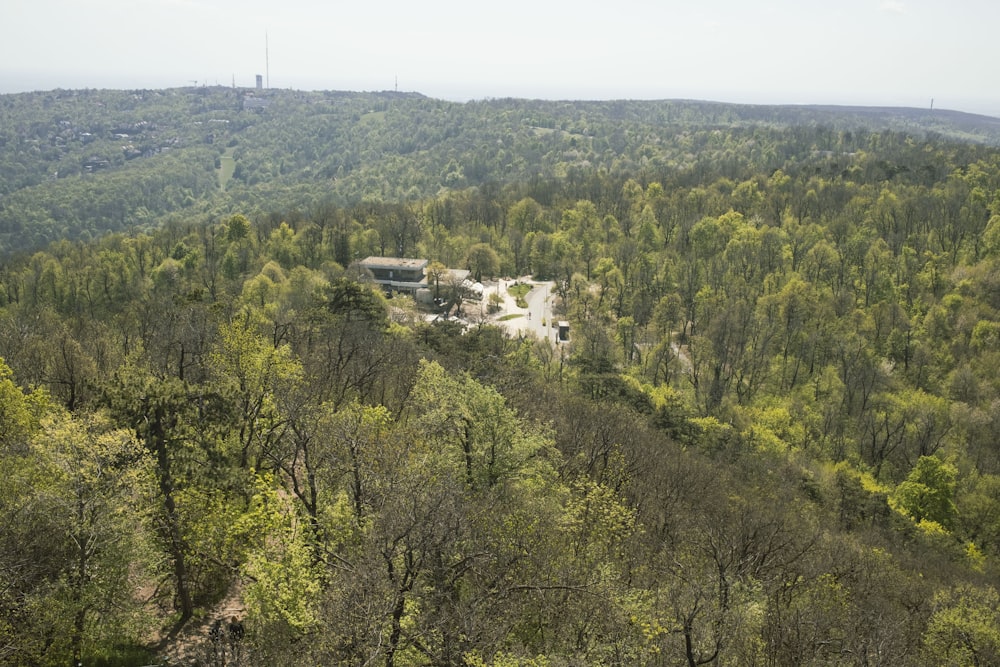 a house in the middle of a forested area