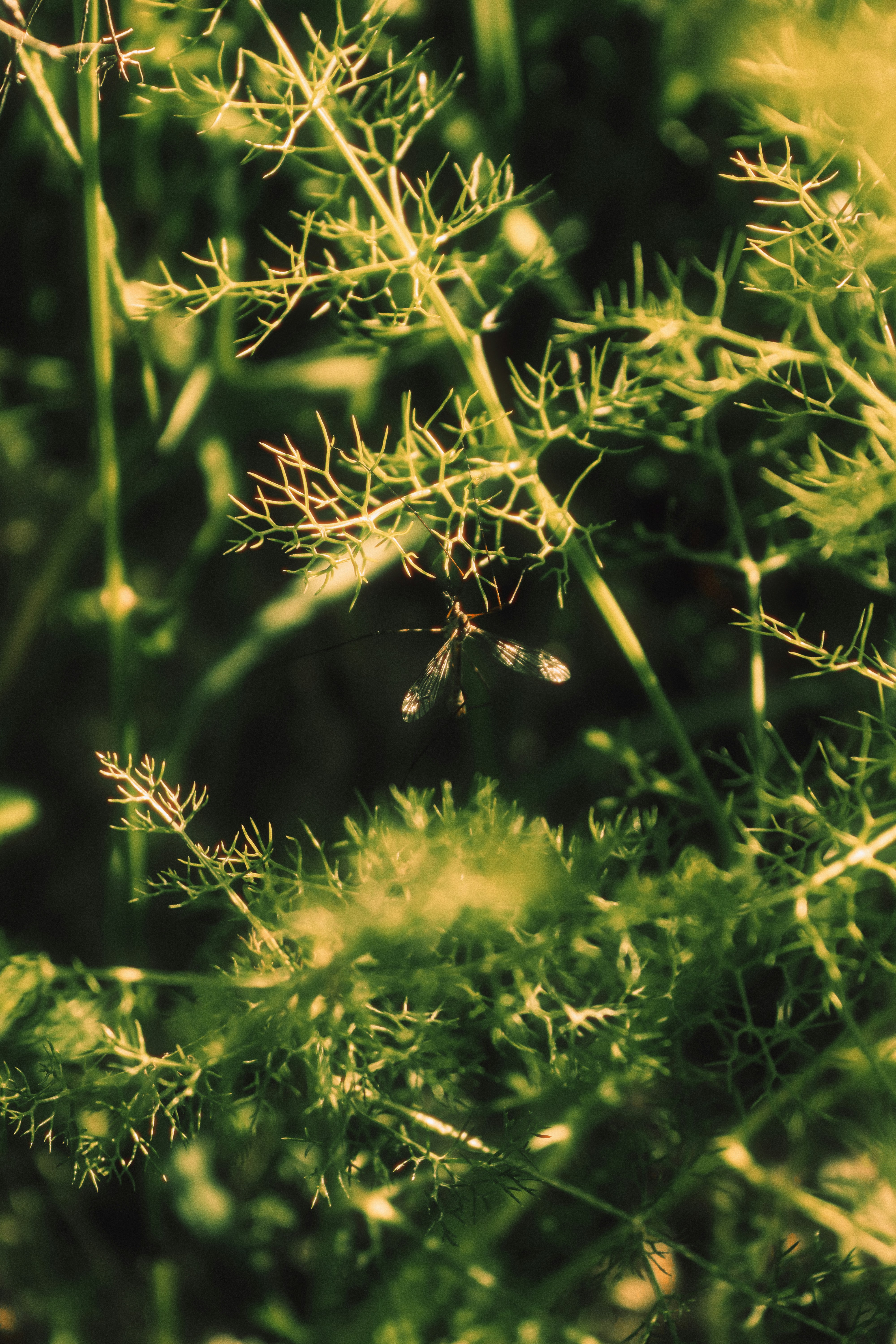 Photo by sweatyhands