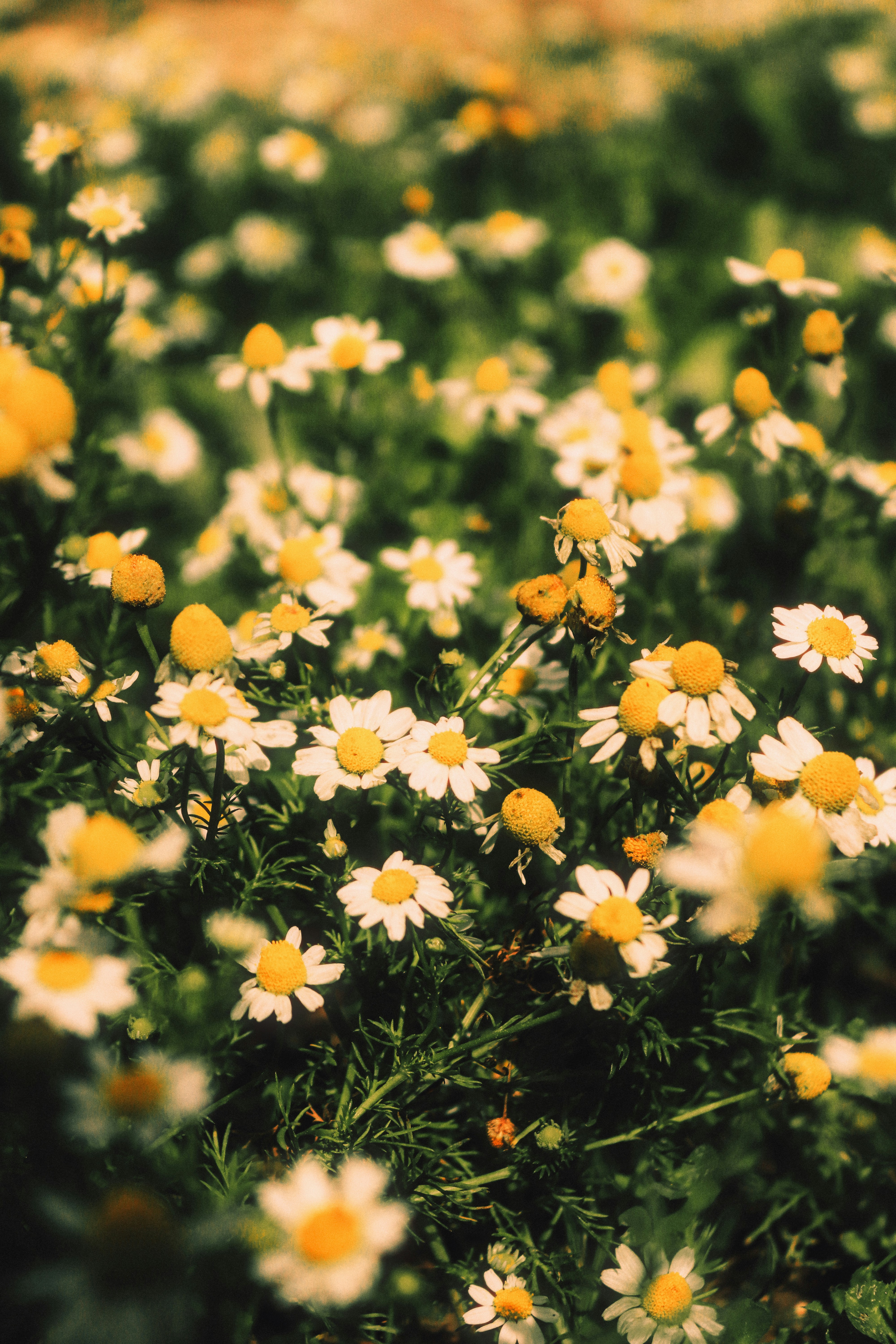 Photo by sweatyhands