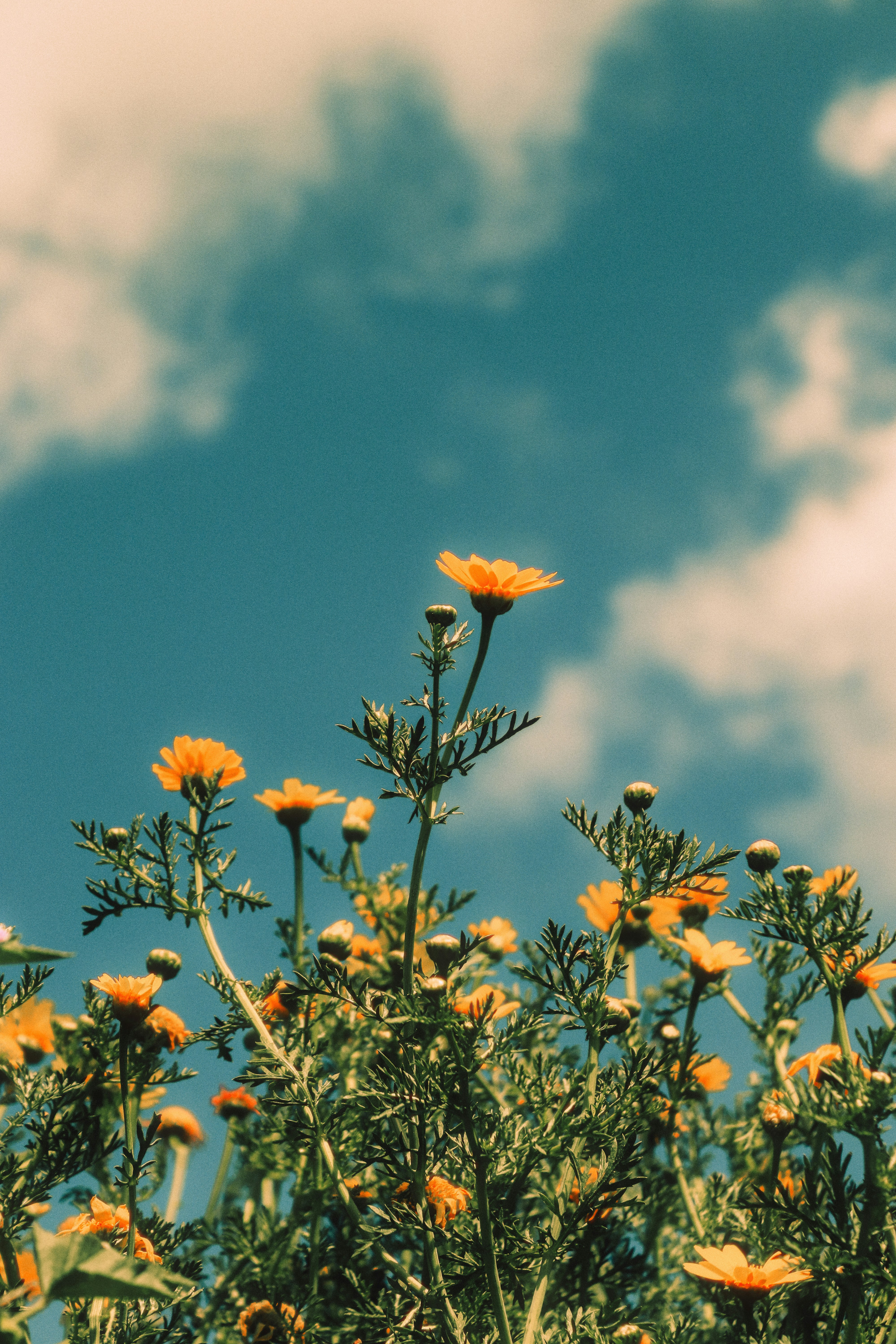 Aesthetically Speaking: Why Your Space Deserves a Personality