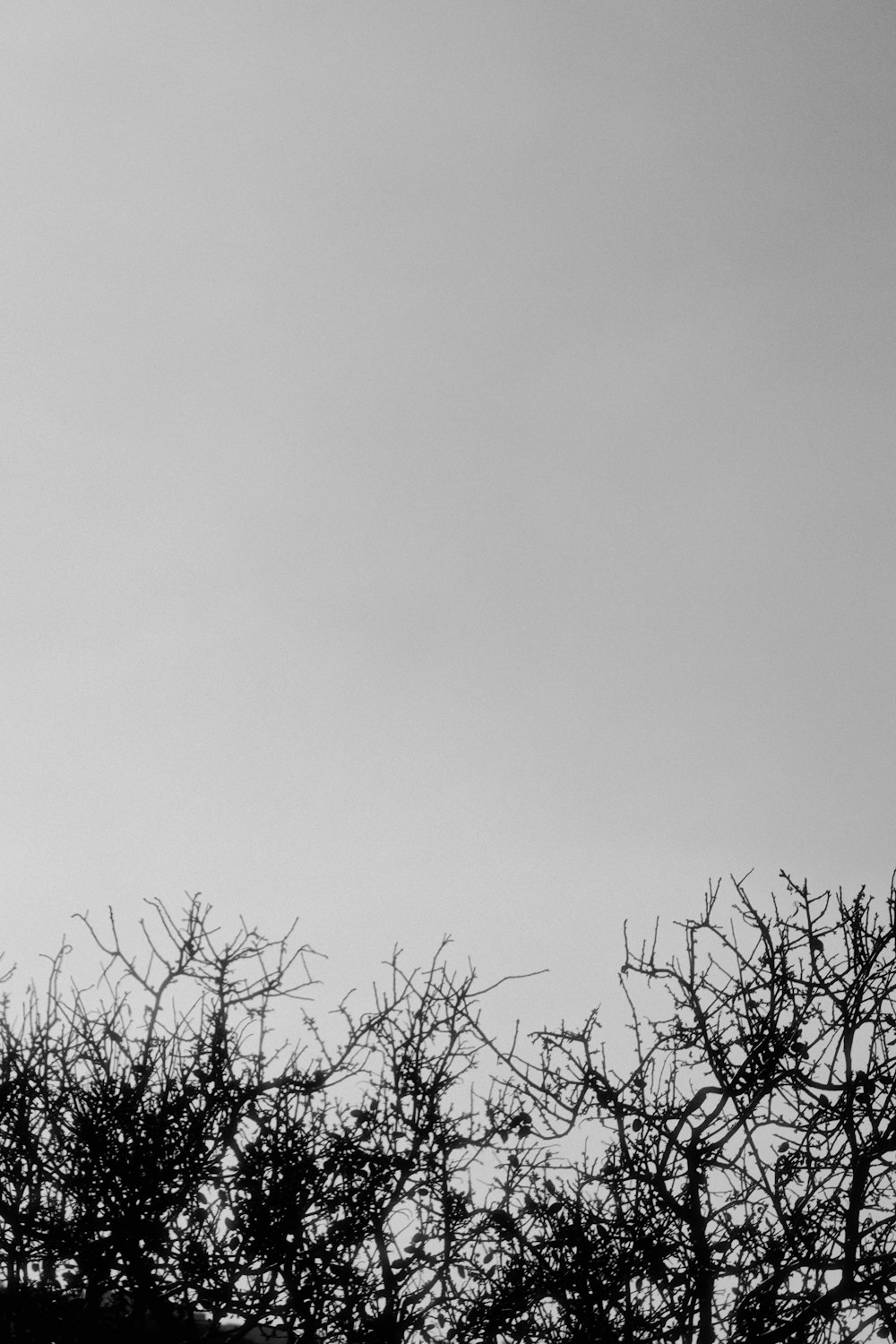 a black and white photo of a clock tower