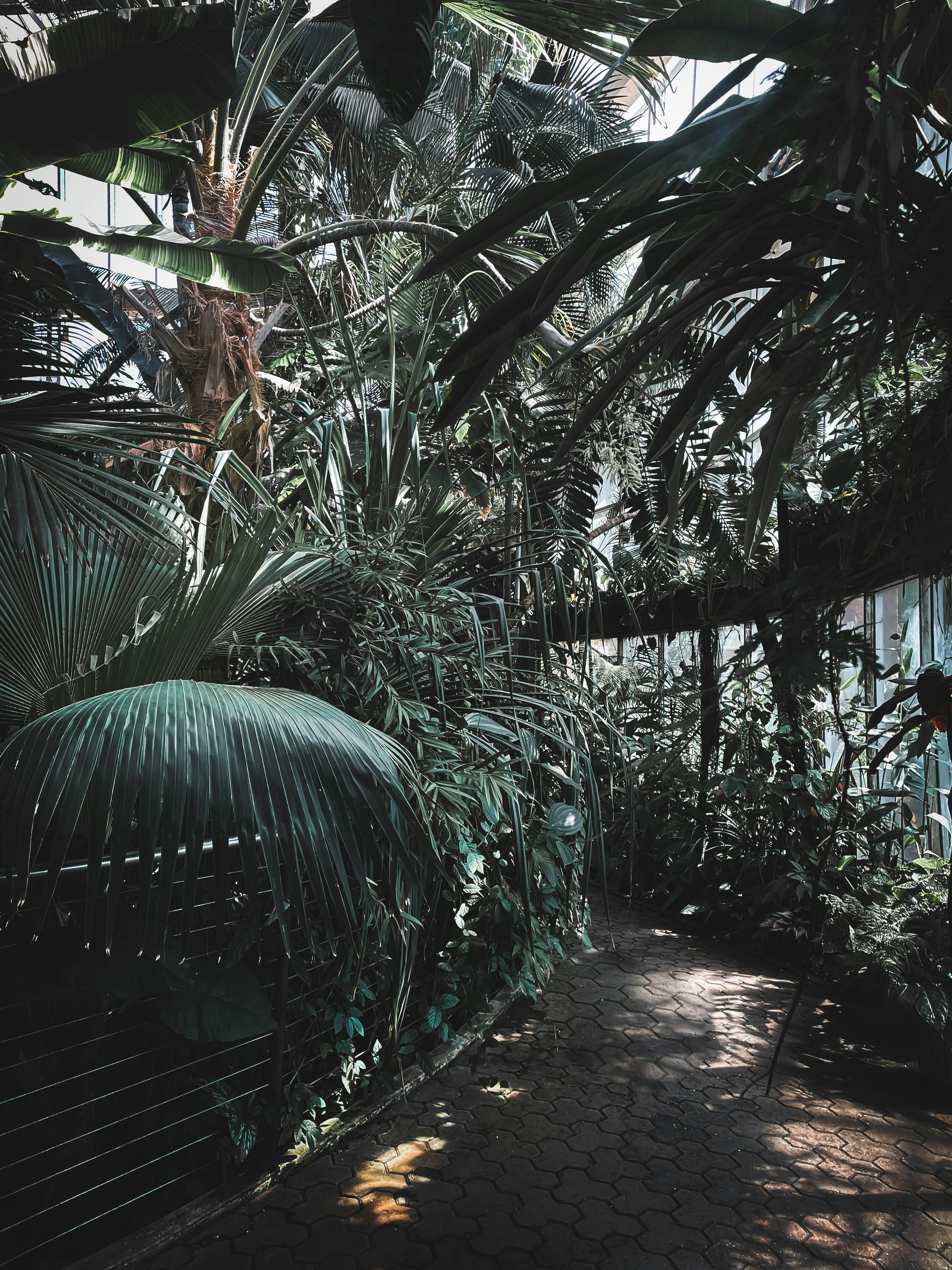 Photo by brice_cooper18