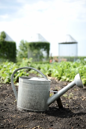 A metal watering can is placed on freshly tilled soil with lush green plants in the background. The scene is set in a garden or farm area with structures in the distance, possibly greenhouses or storage facilities.