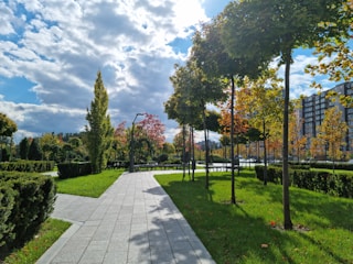A scenic view of a neighborhood park with walking trails and mature trees.