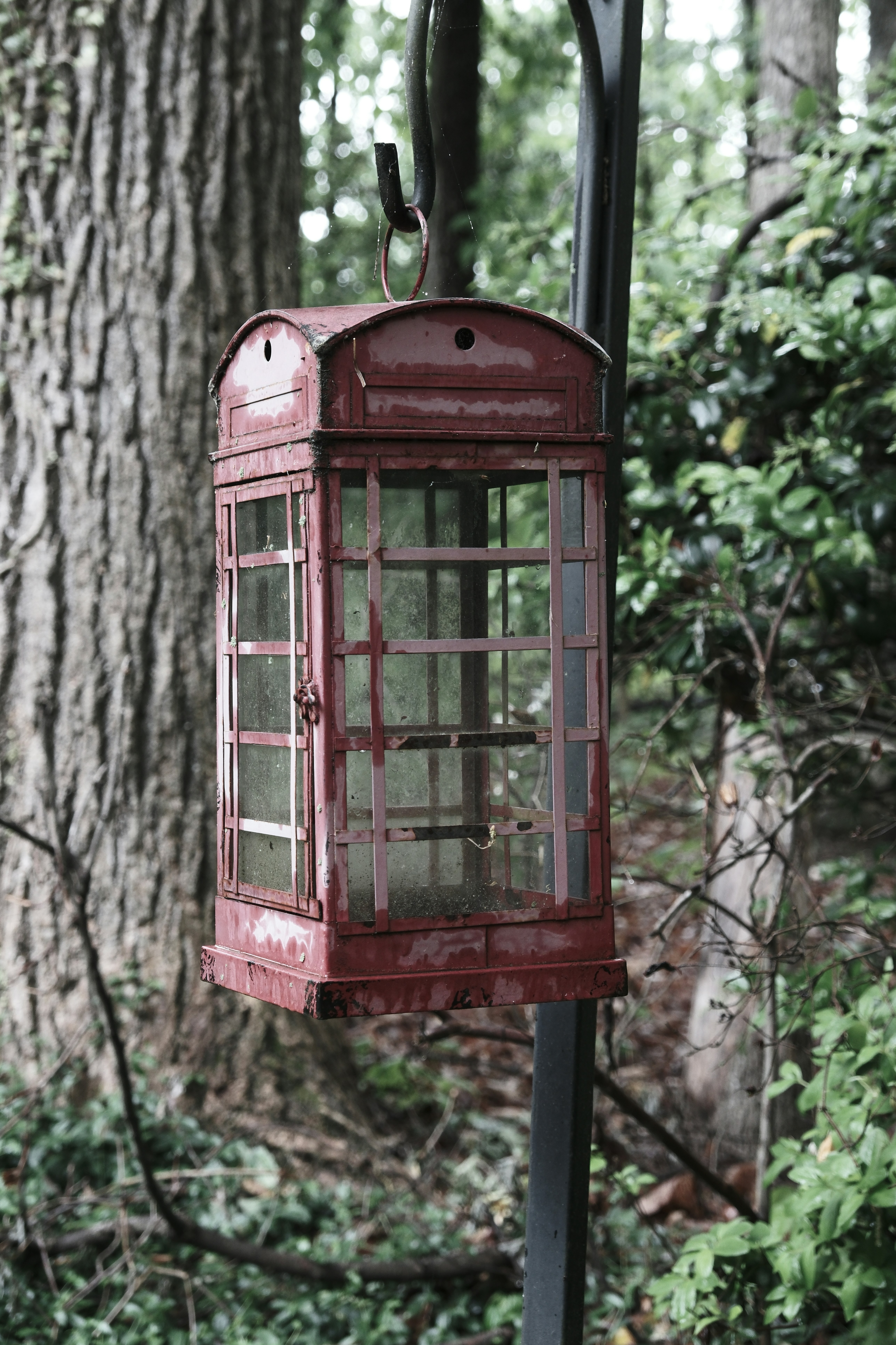 Photo by superfluousfacsimile