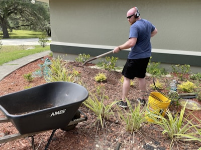 A person is engaged in gardening activities, using a rake to work on the flower bed in a landscaped yard. They are wearing headphones and casual clothing. Nearby, a black wheelbarrow labeled 'AMES' and a yellow bucket can be seen. The surrounding environment includes green plants, mulch, and a garden hose.
