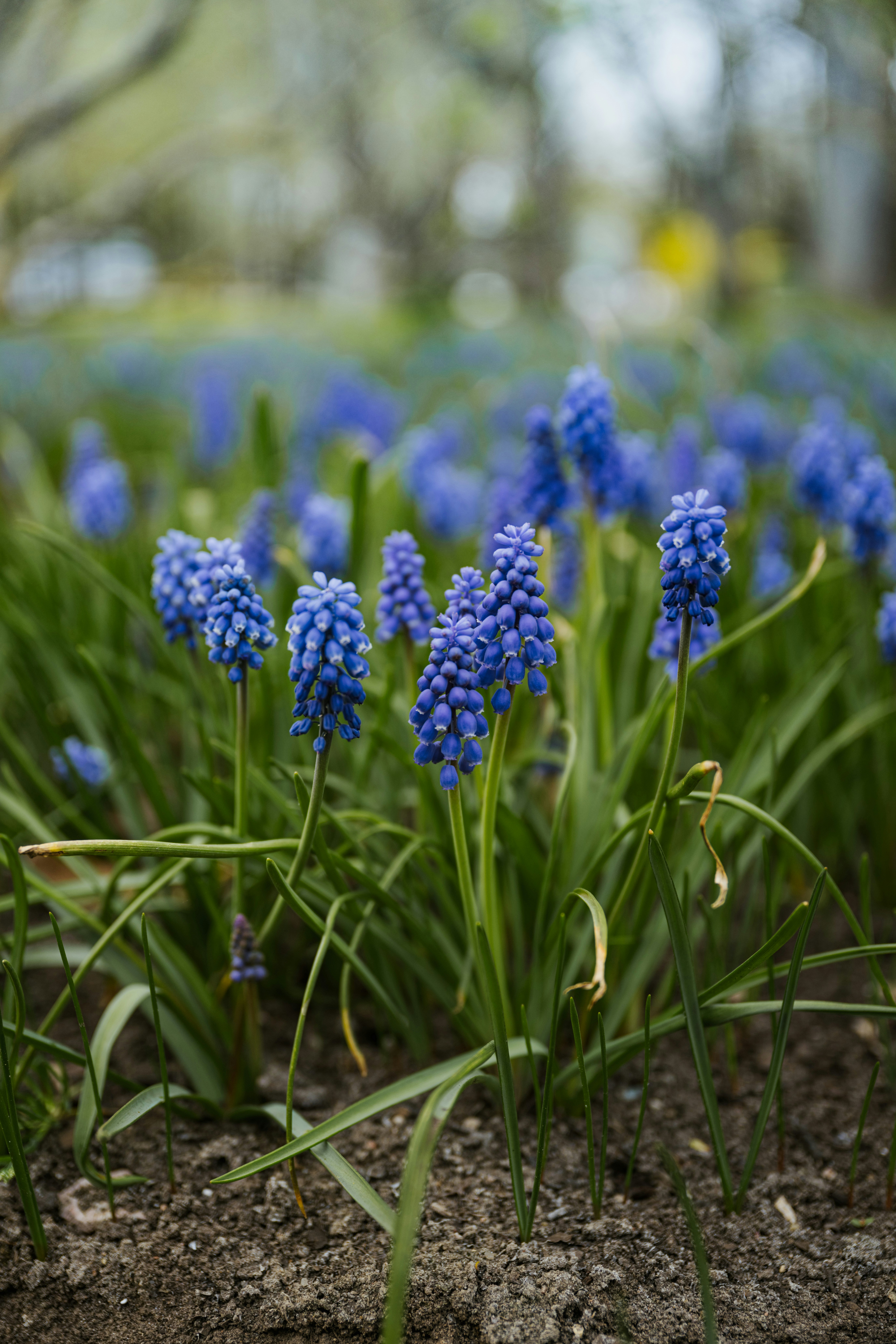 Photo by anitaaustvika