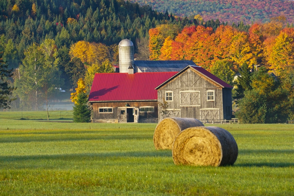 a barn and hay bales in a field with trees in the background
