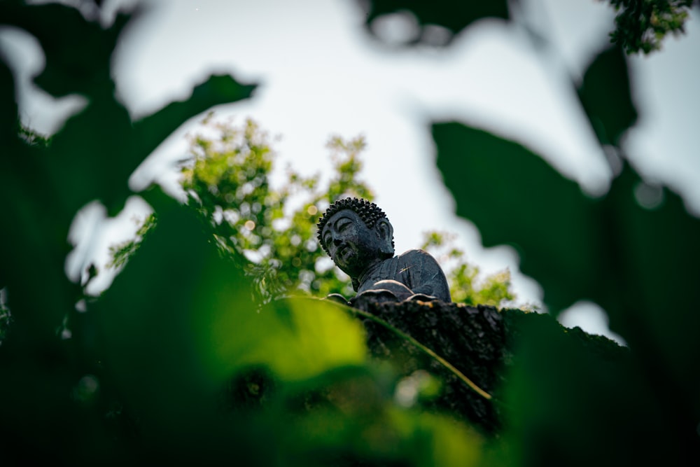 a buddha statue sitting on top of a lush green forest