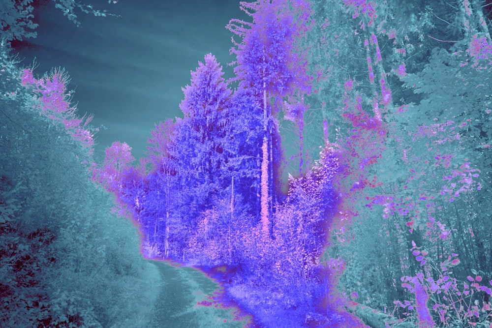 a picture of a blue and purple forest