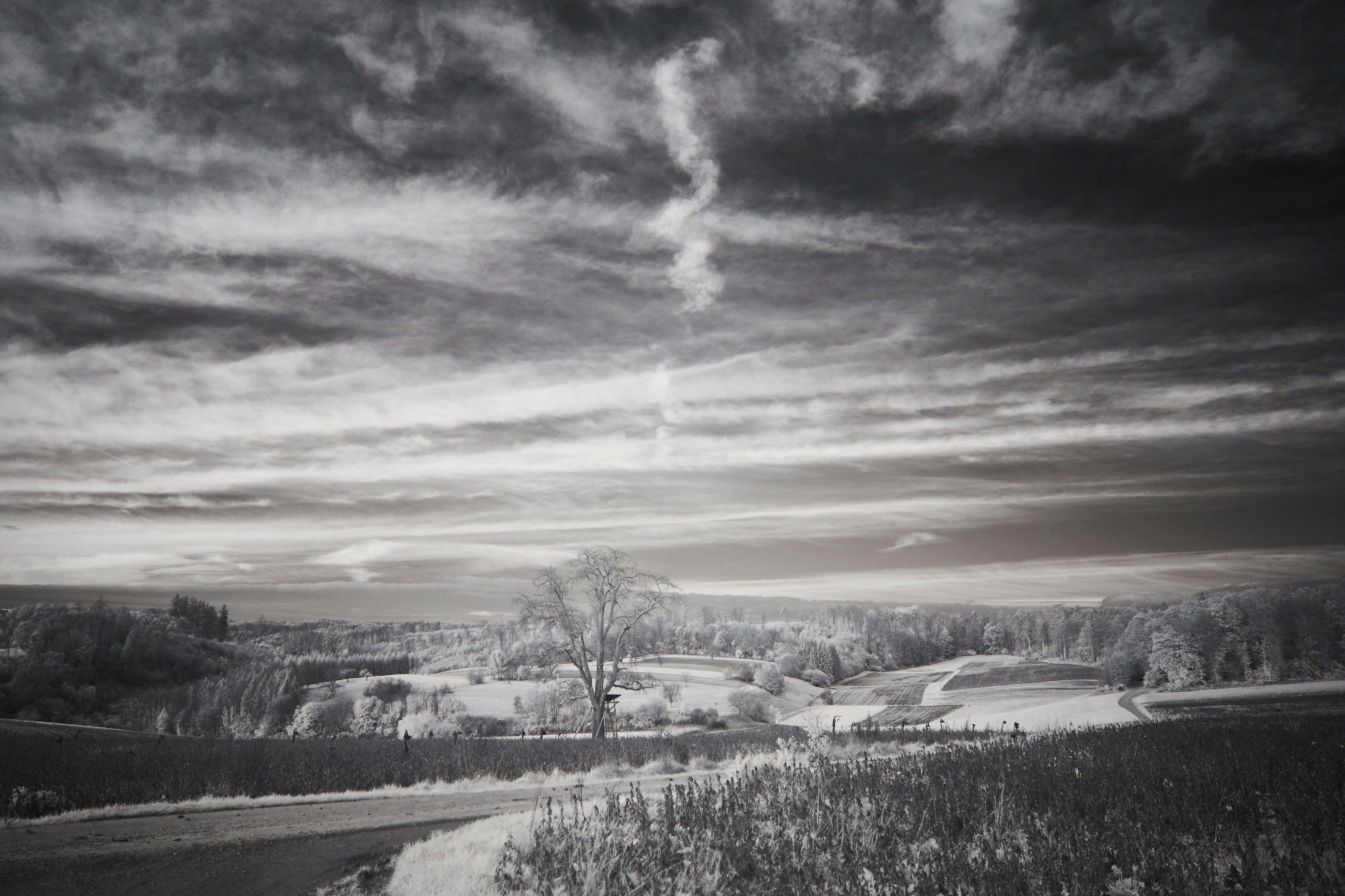 Photo by wolfgang_hasselmann