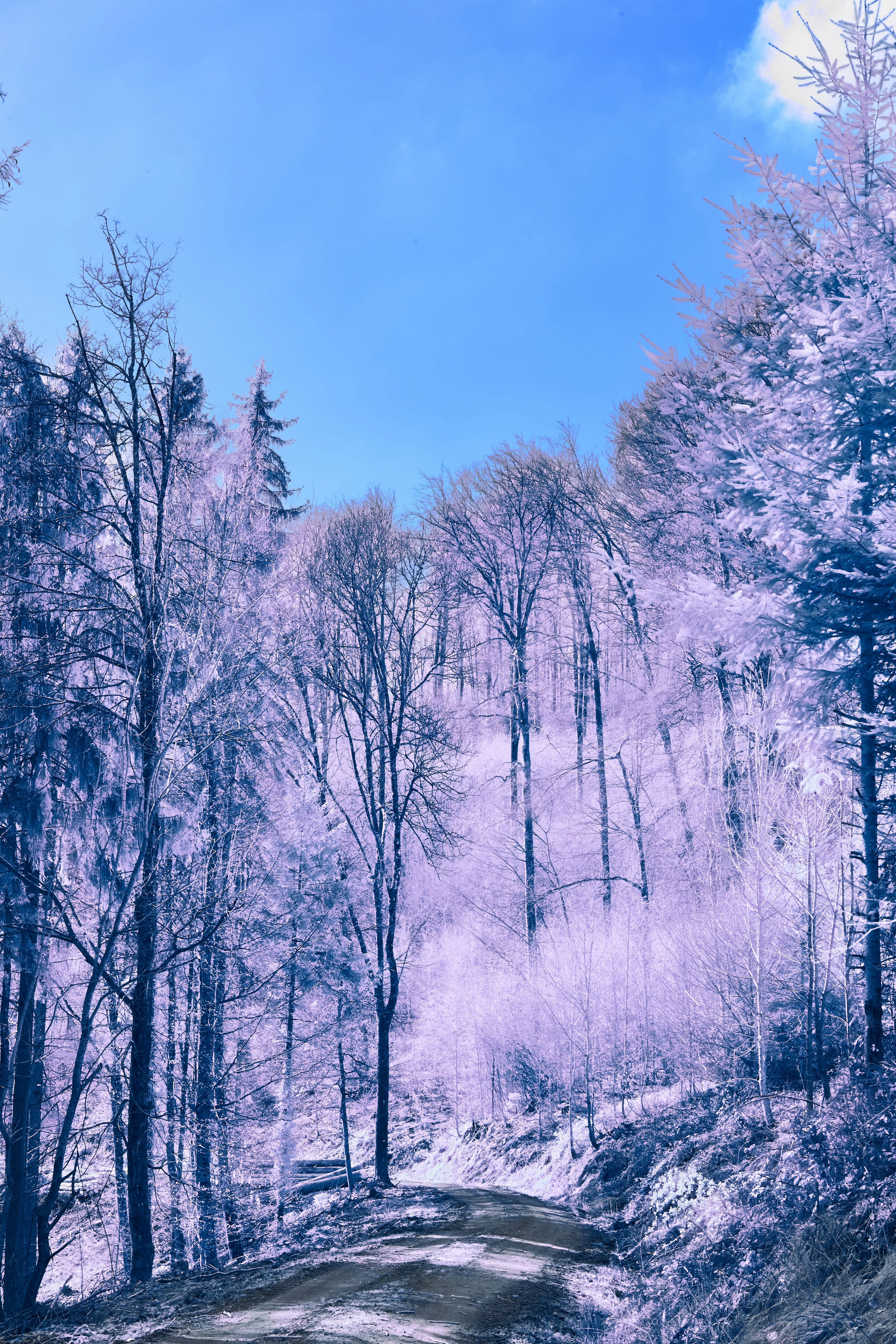 Photo by wolfgang_hasselmann