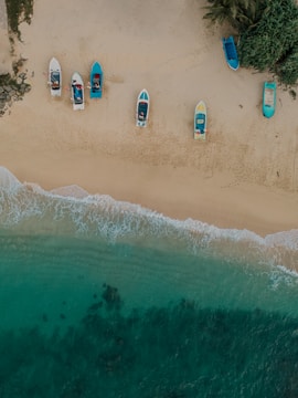 a group of boats sitting on top of a sandy beach