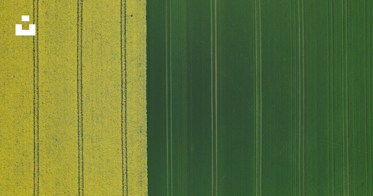 A green and yellow field with vertical lines photo – Free Aerial view ...