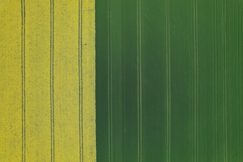 um campo verde e amarelo com linhas verticais