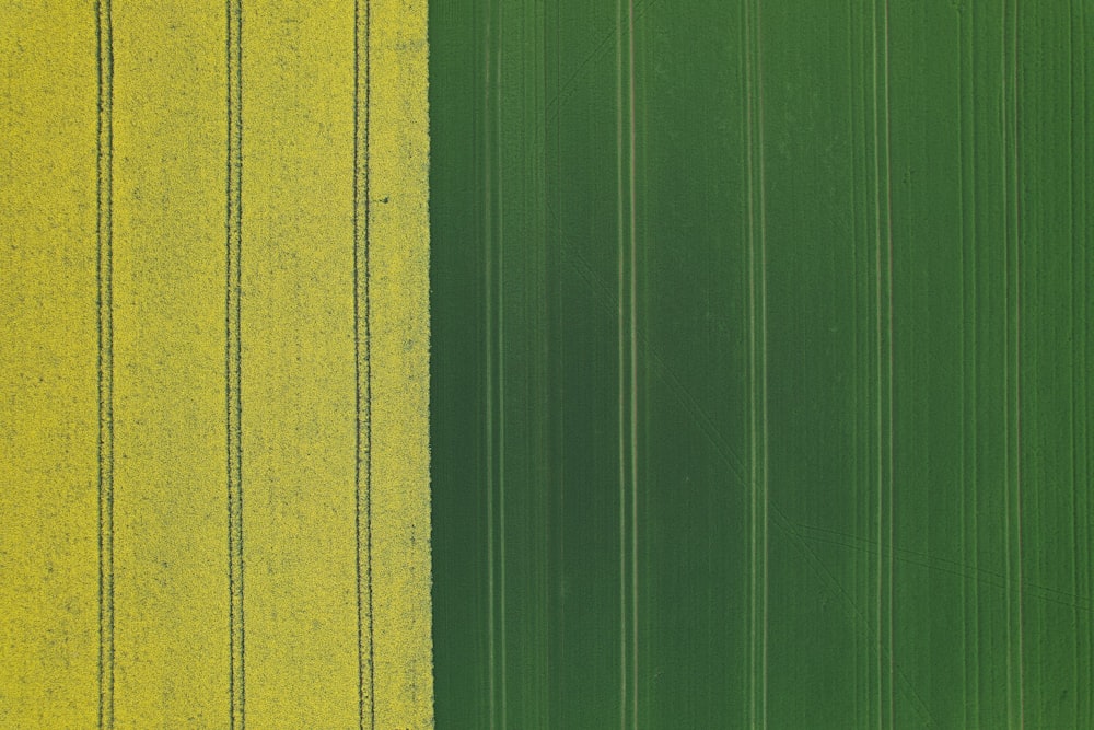 un champ vert et jaune avec des lignes verticales