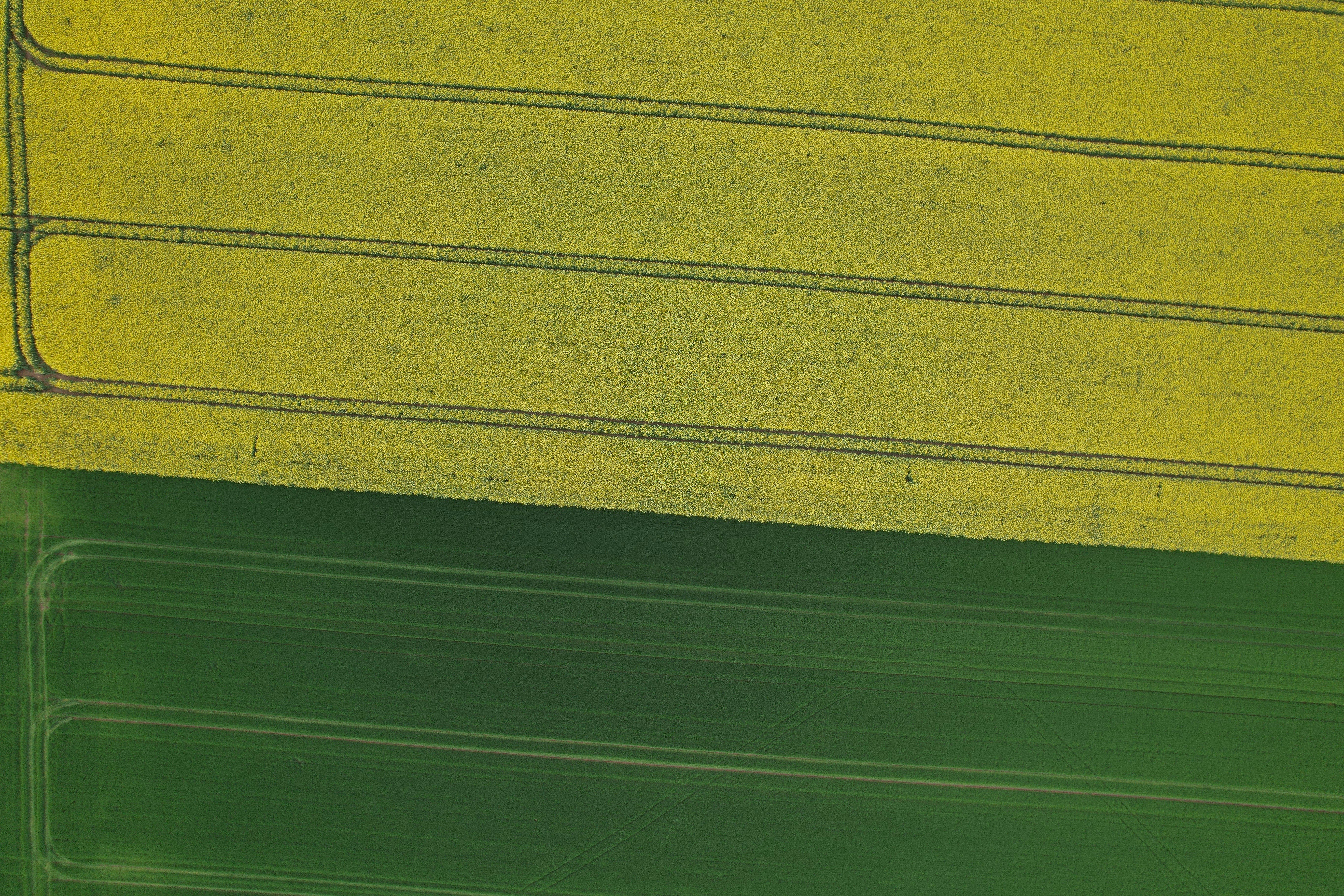 Gaza Truce Plan Sparks Optimism and Criticism