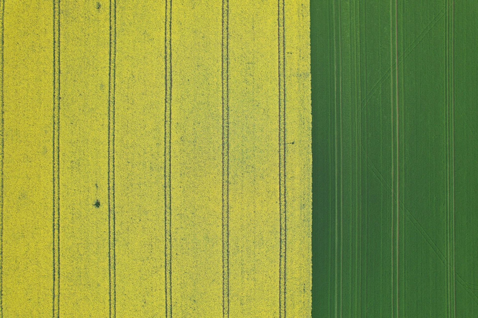 gray computer monitor