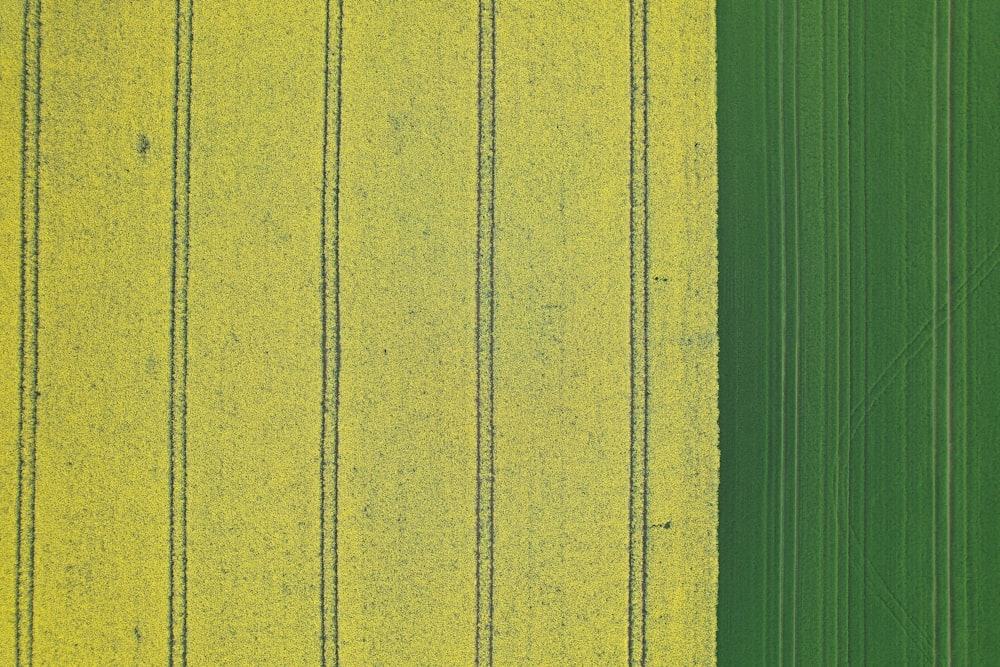 um campo verde com uma faixa amarela no meio