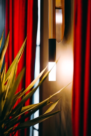 A modern wall sconce with a long metallic fixture and a bright white light illuminates the scene. Rich, deep red curtains hang in the background, creating an elegant contrast with the illuminated wall. A green plant with long, pointed leaves sits nearby, partially bathed in the light.