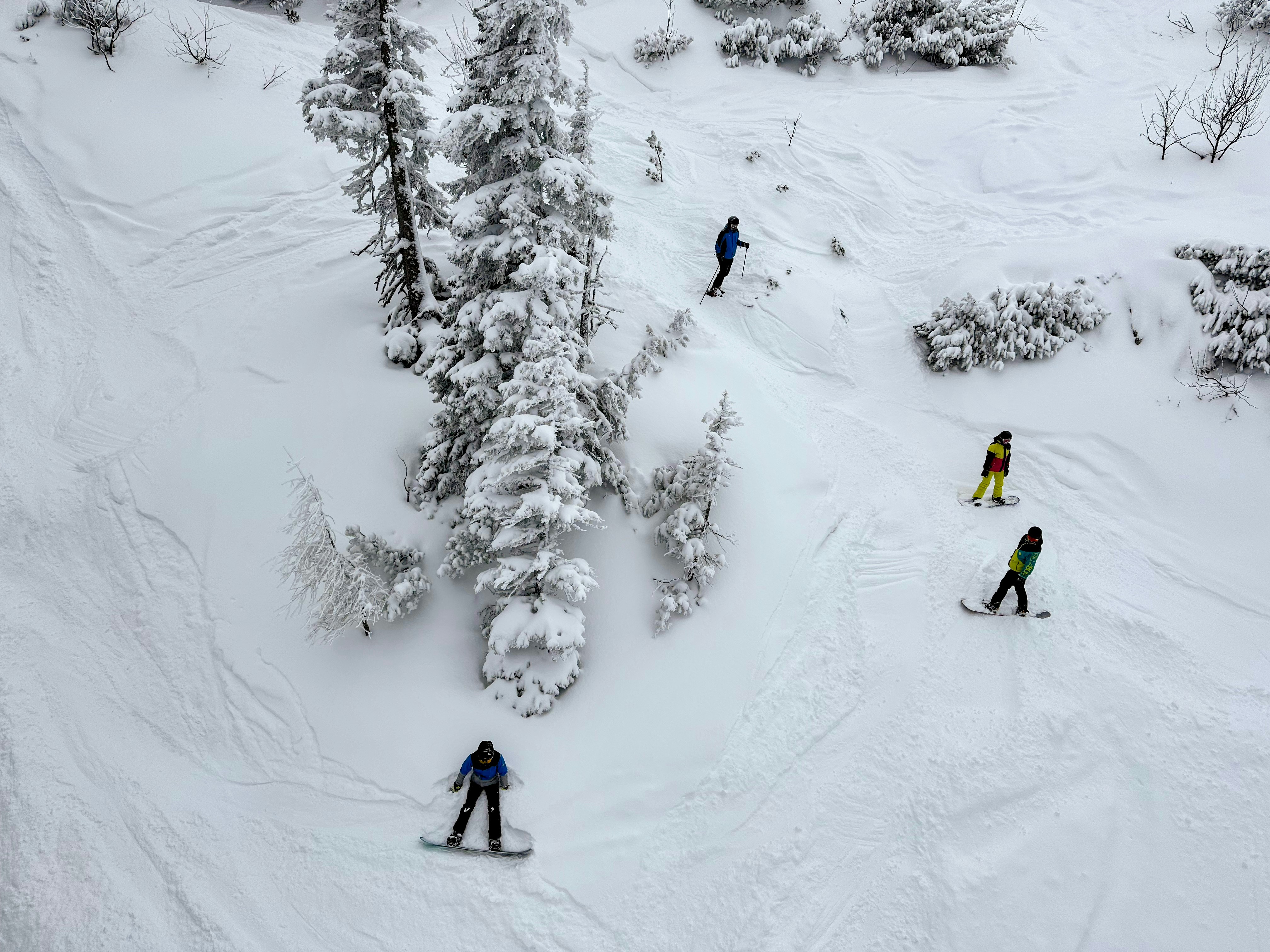 Photo by mihaly_koles