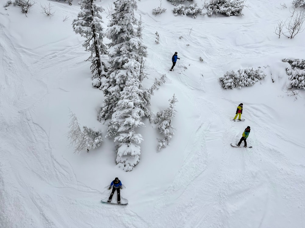 a group of people riding skis down a snow covered slope