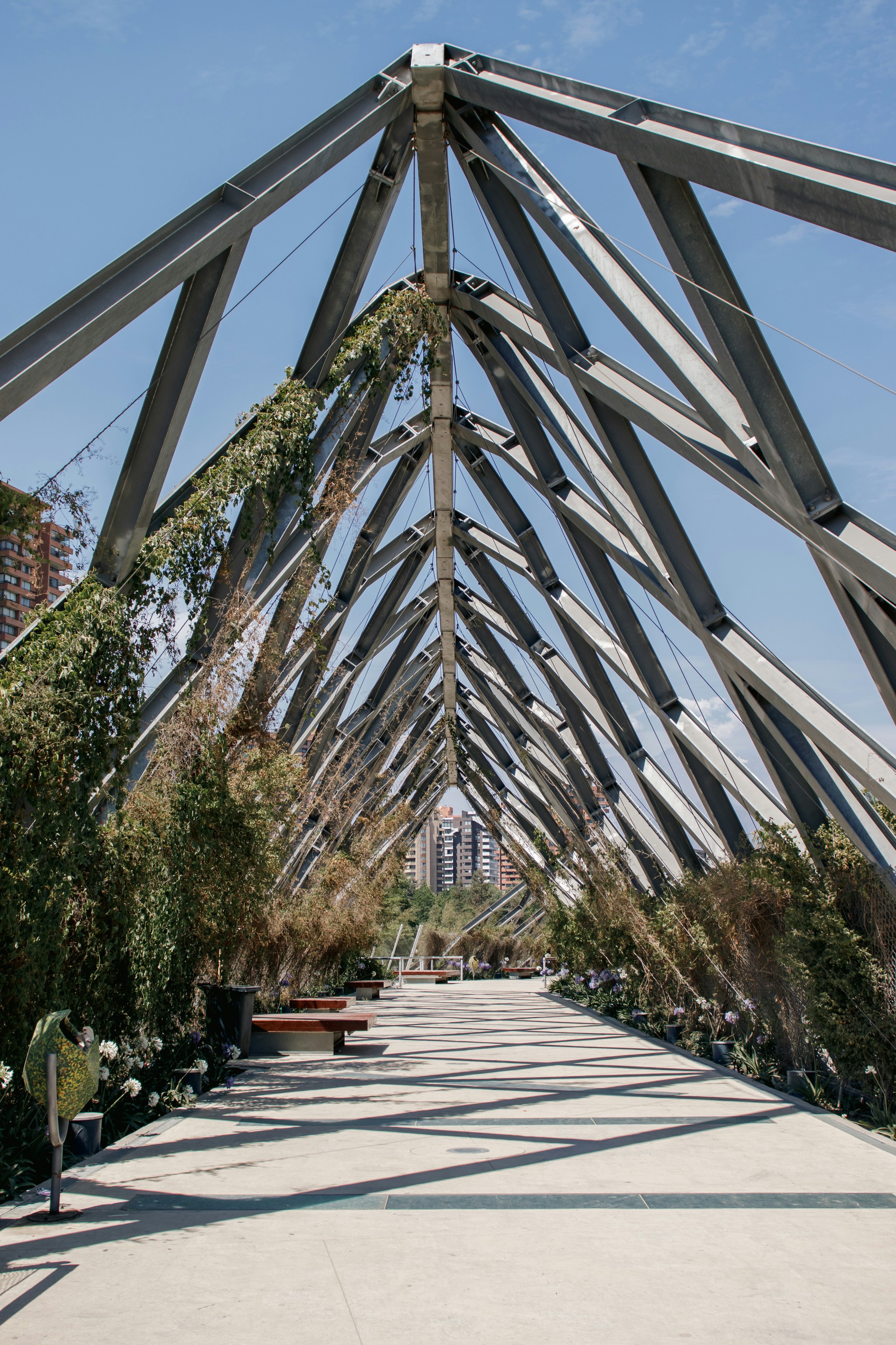 Parque Araucano photo 3