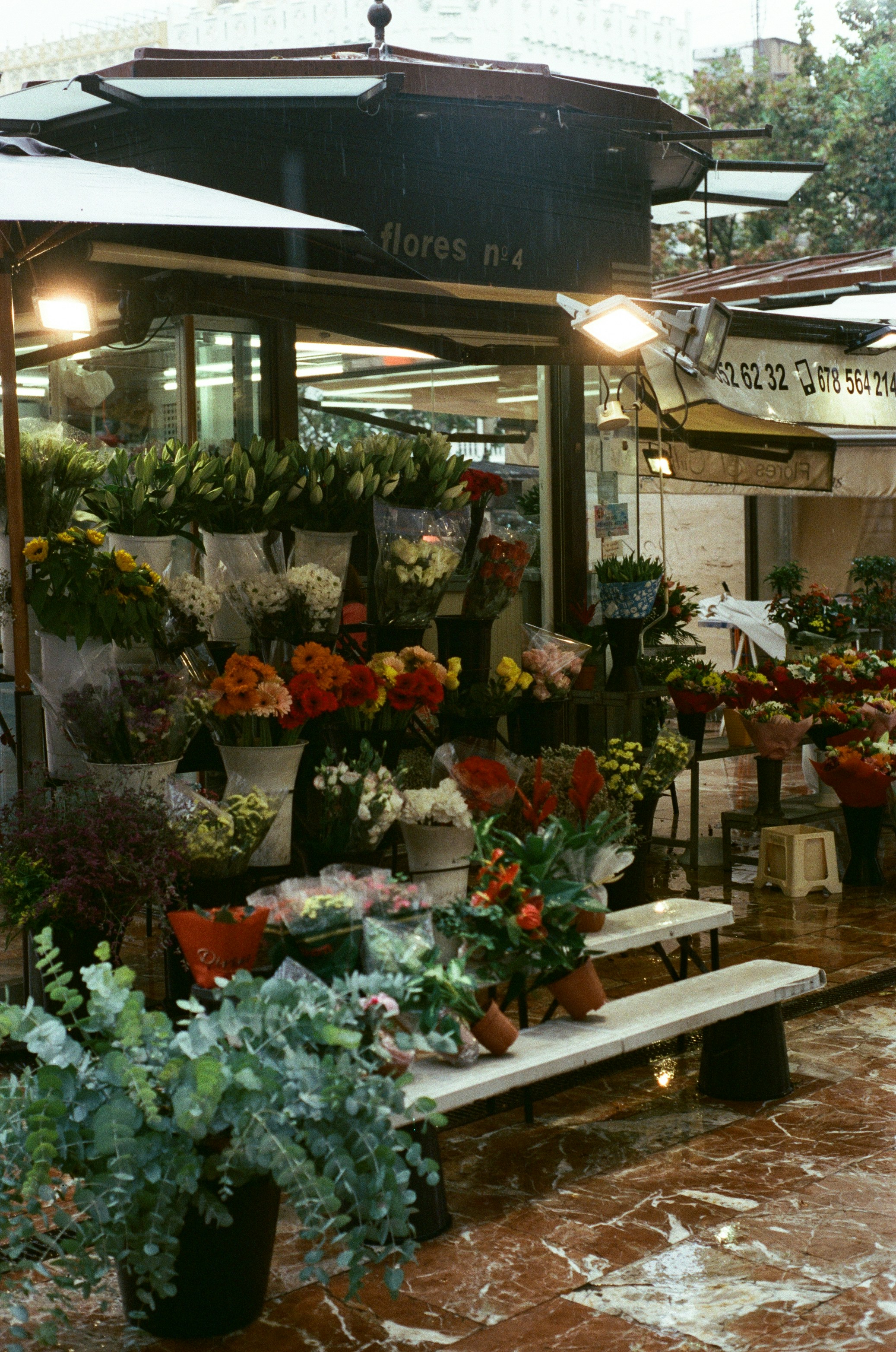 a bunch of flowers that are on a table