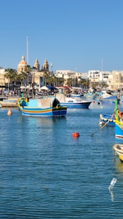 A picturesque harbor scene with several colorful boats floating on clear blue water. In the background, there are historic buildings with architectural features such as domes and spires, as well as a line of palm trees. The area is bustling with activity as people gather near the waterfront, possibly at a market or festival.