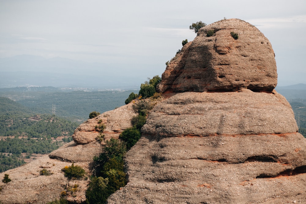 a large rock formation with a tree growing out of it