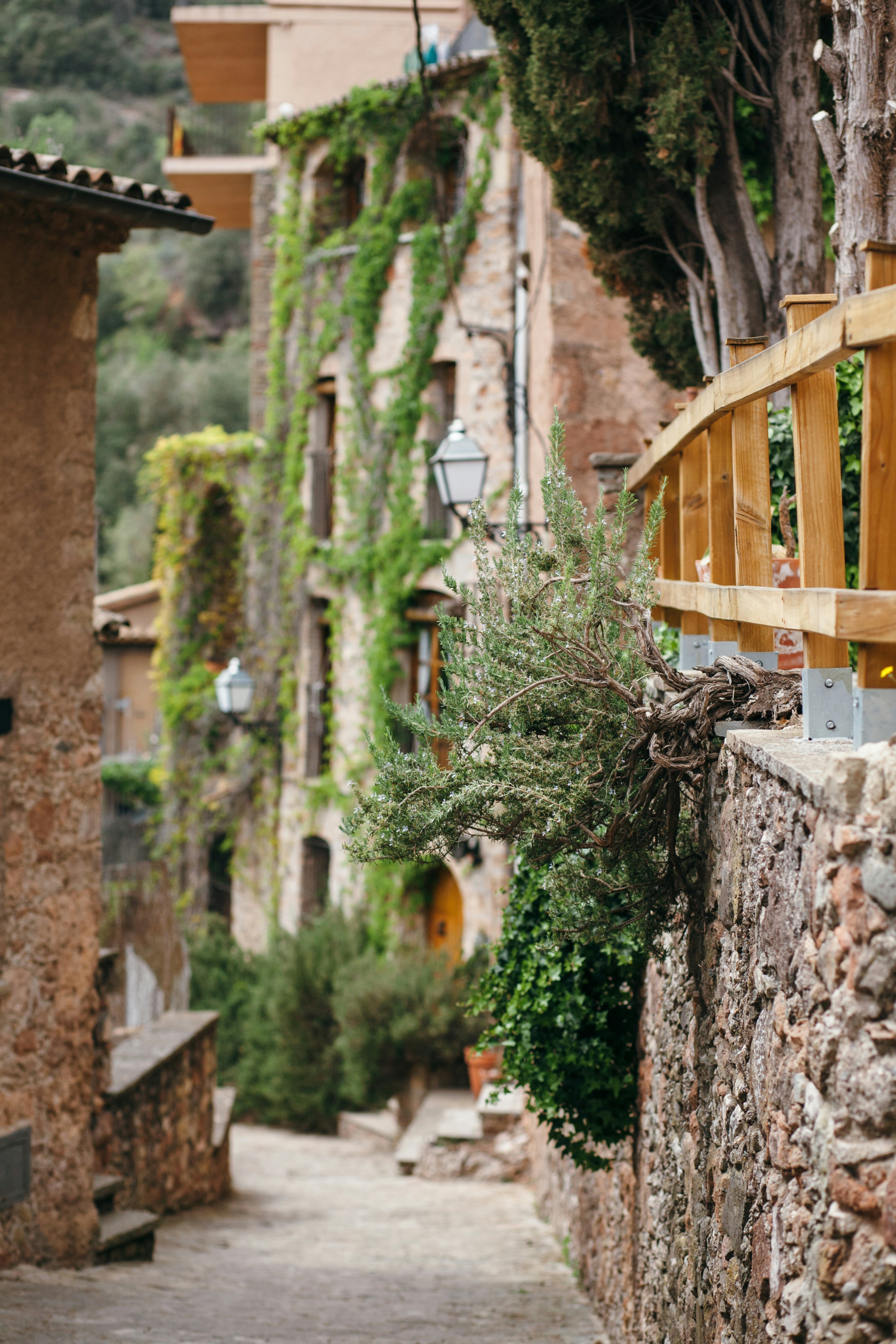 Photo by skatienstuksuma