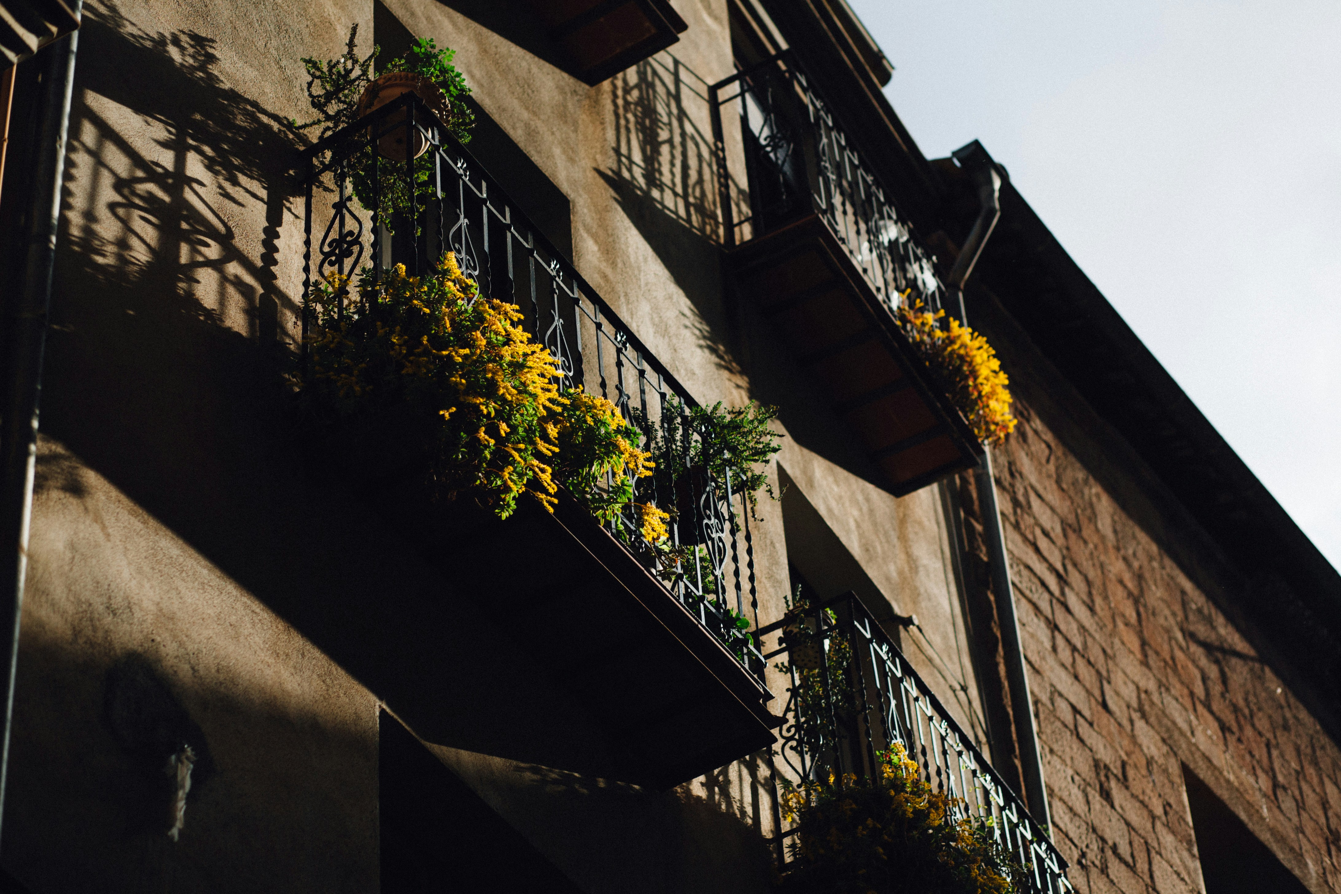 Photo by skatienstuksuma