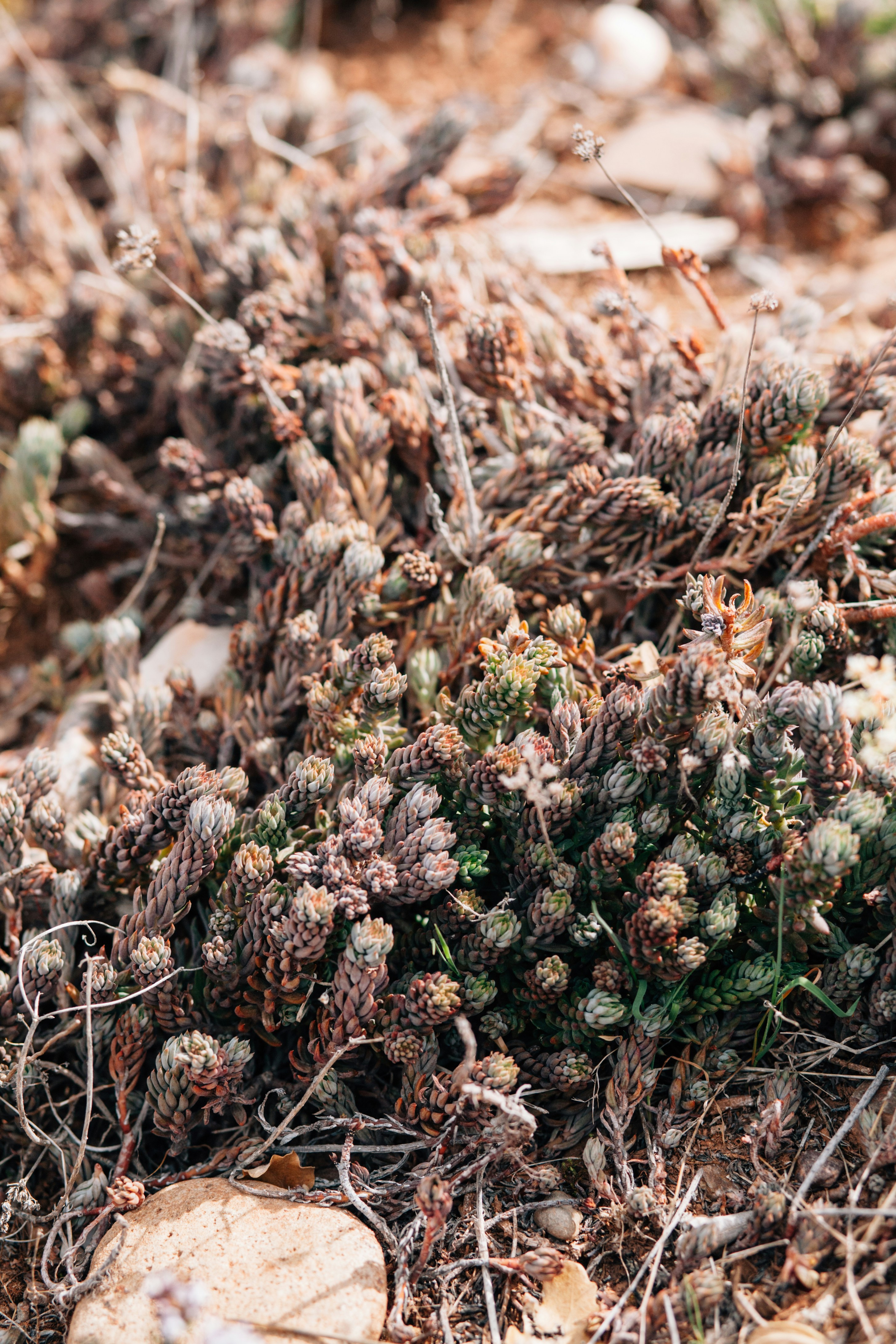 Photo by skatienstuksuma