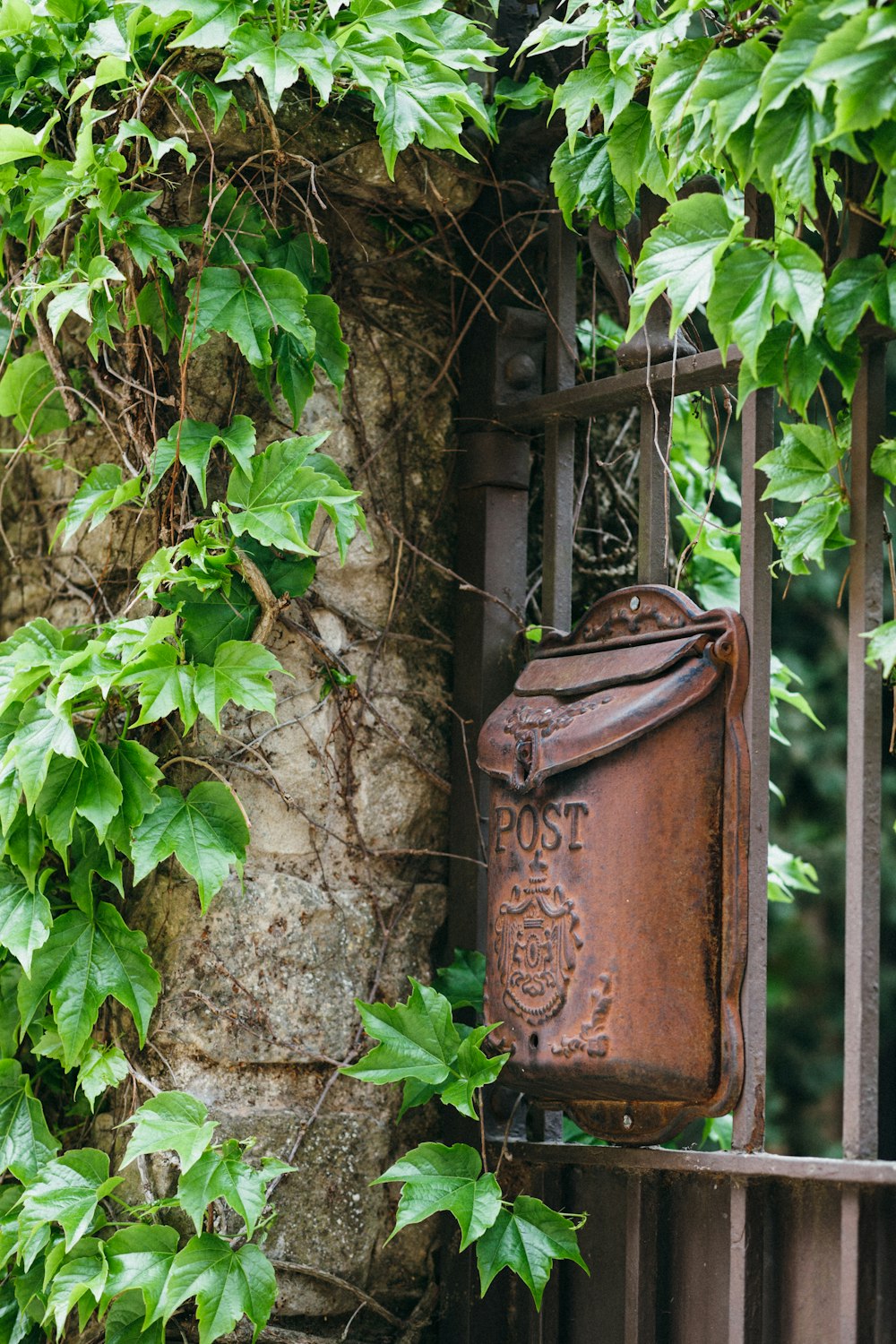 Una puerta de hierro oxidado con hiedra creciendo sobre ella