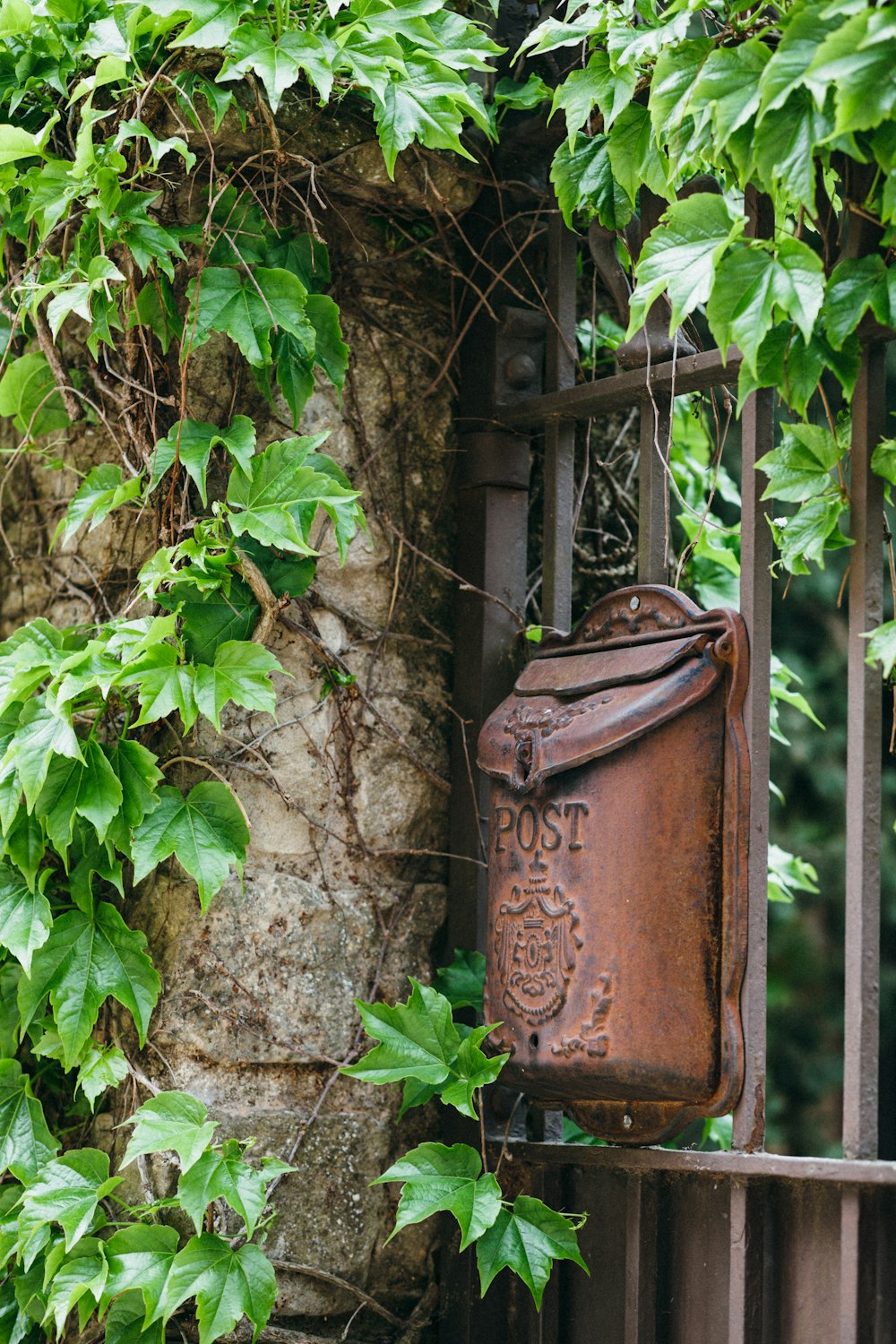 a rusted iron gate with ivy growing over it