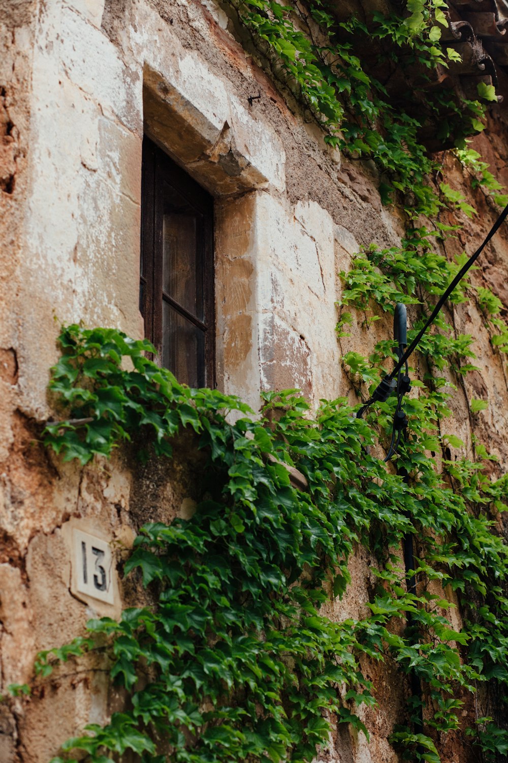 a building with vines growing on the side of it