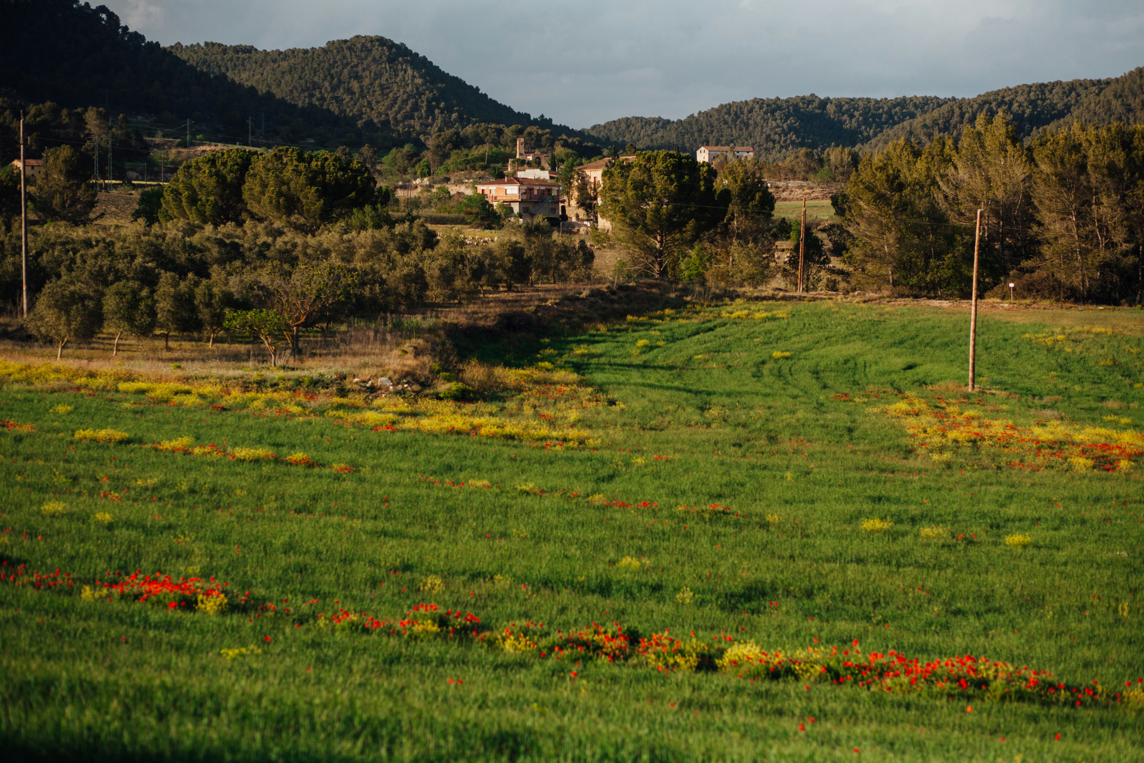 a green field with a house in the distance, 