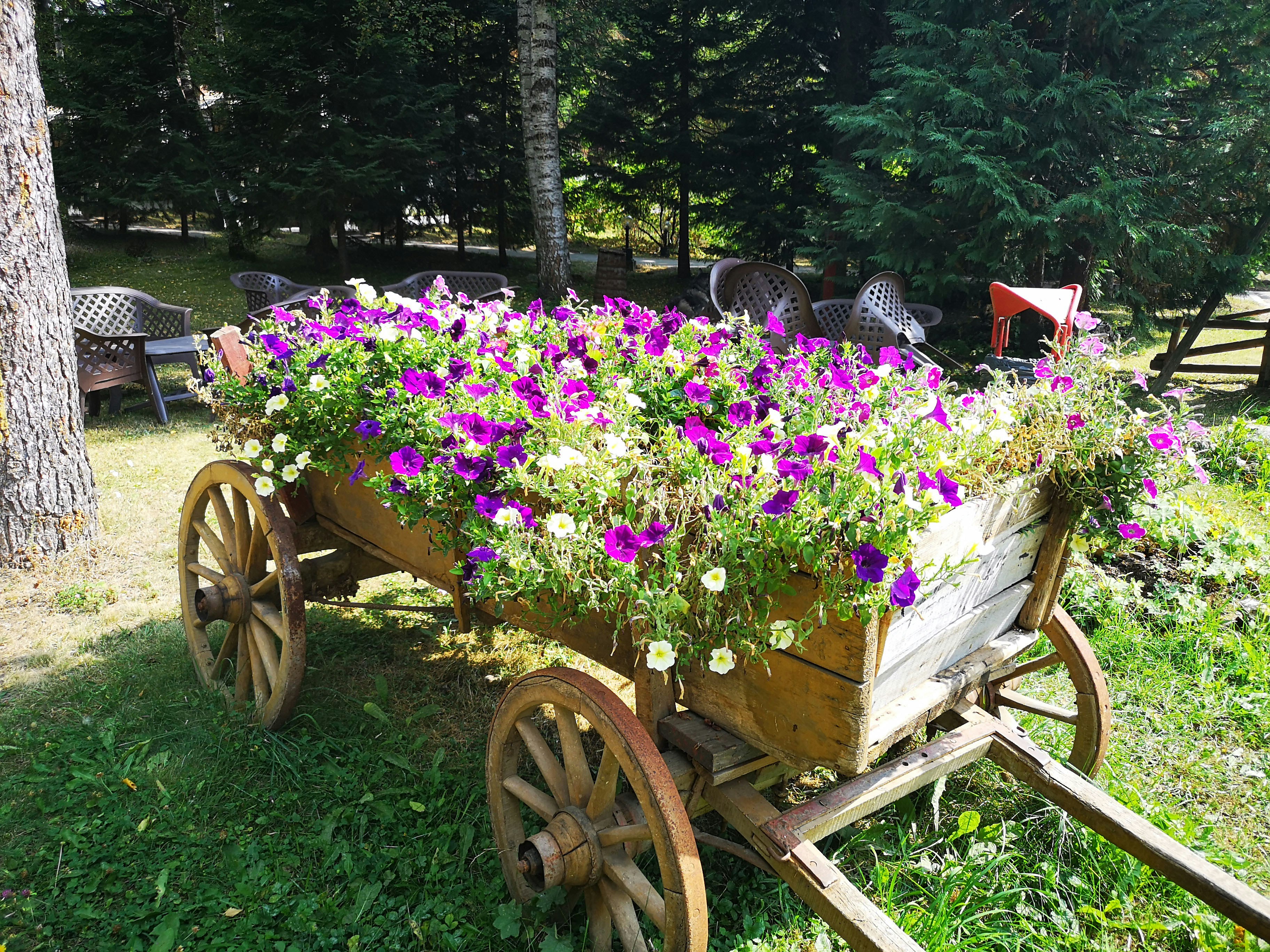 Vintage Wooden Garden Cart
