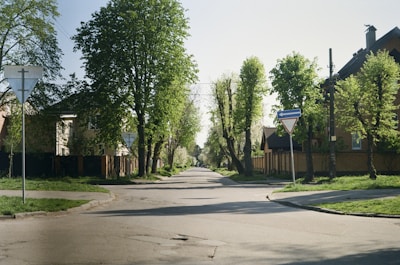 Quiet suburban street lined with trees and well-kept homes