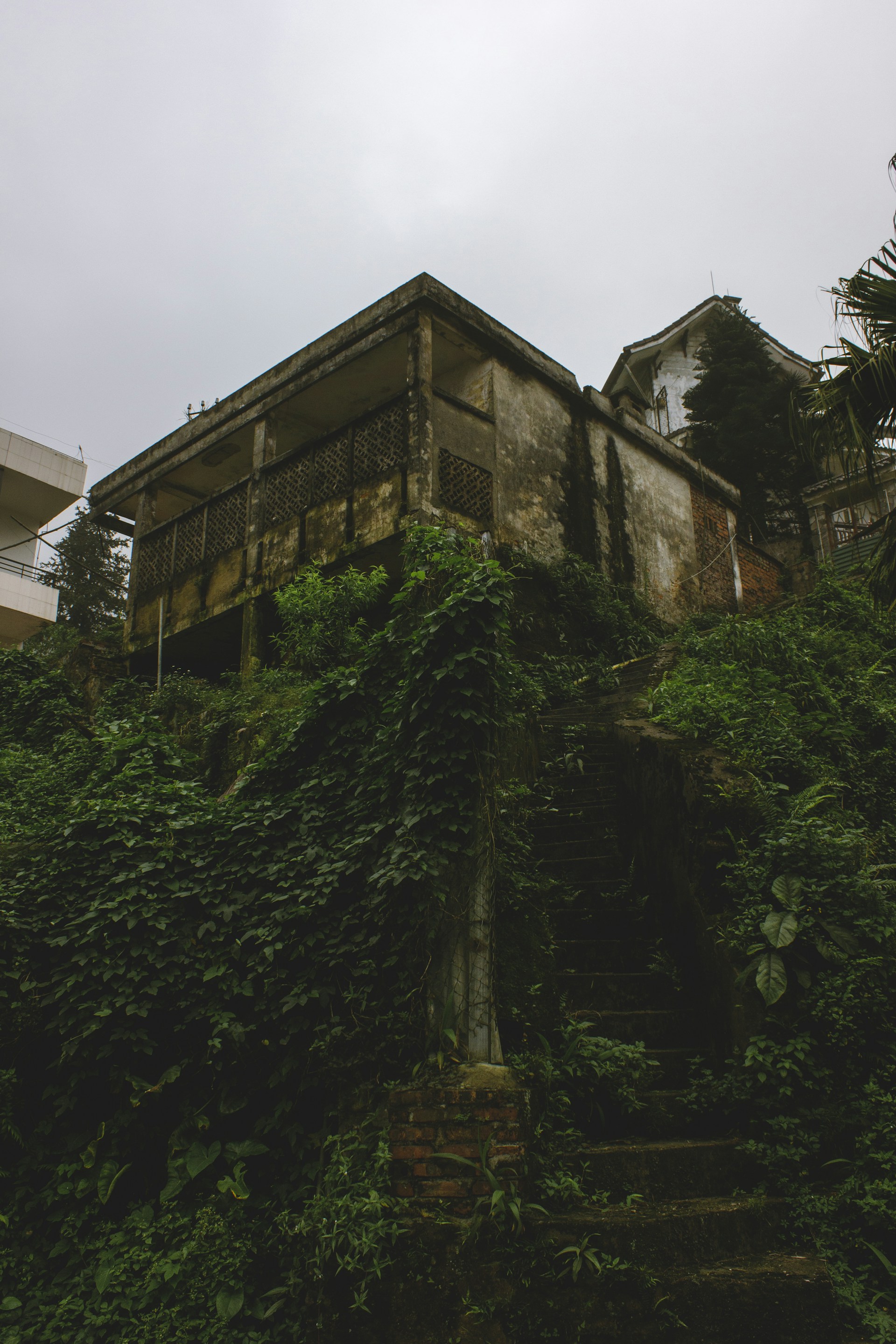a house on a hill covered in vines