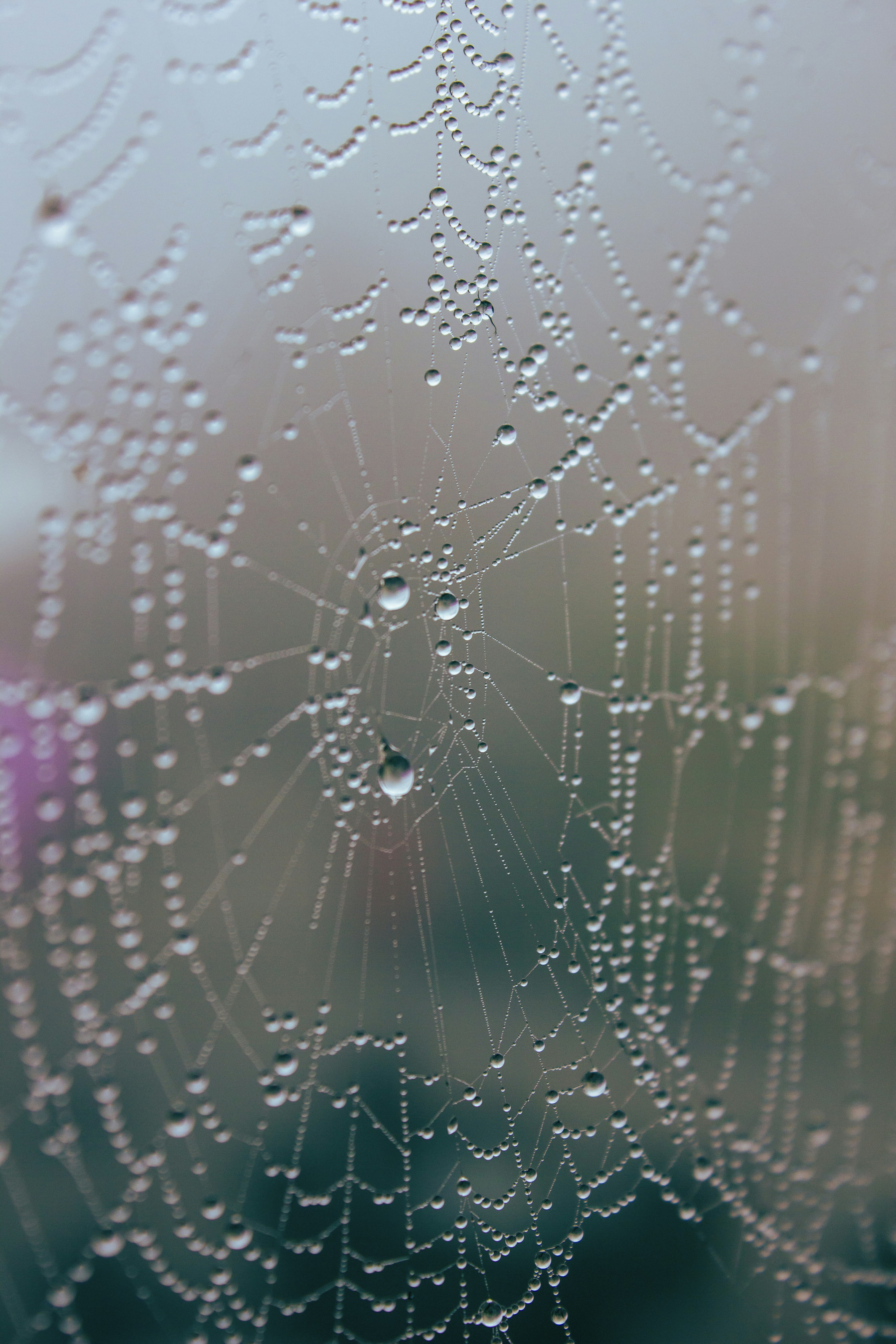 a close up of a spider web on a window
