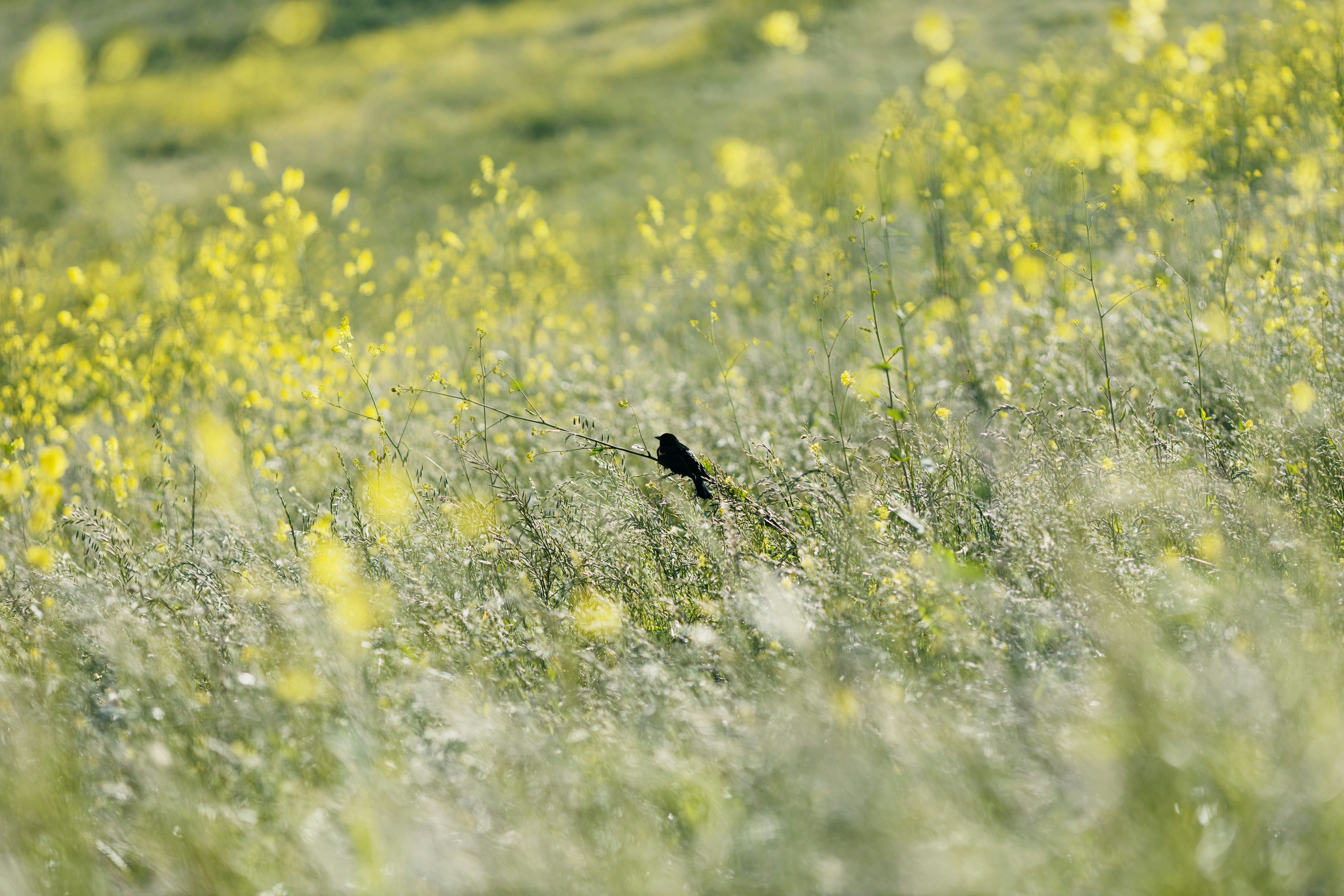 Photo by caleb_woods