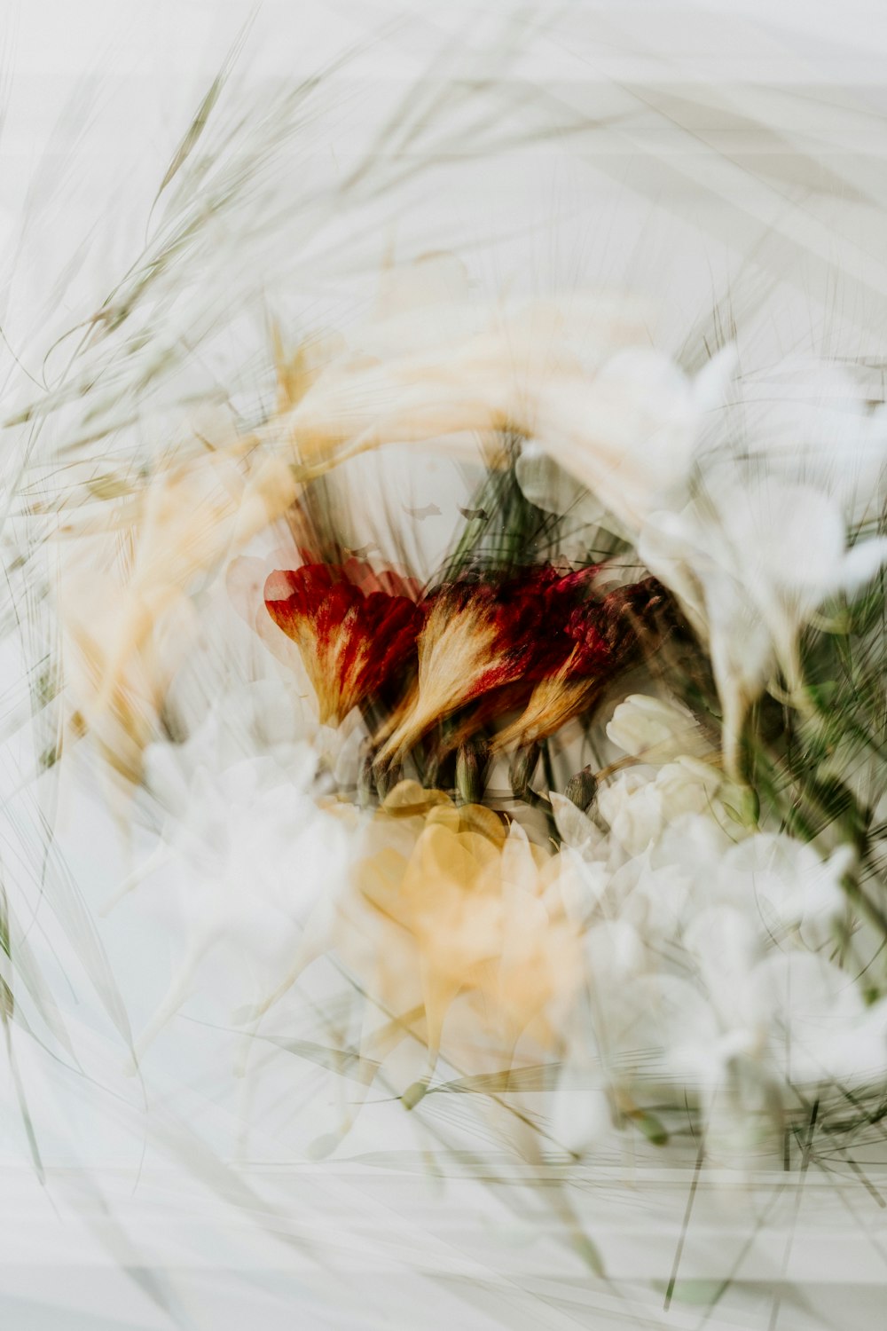 a blurry photo of flowers and grass