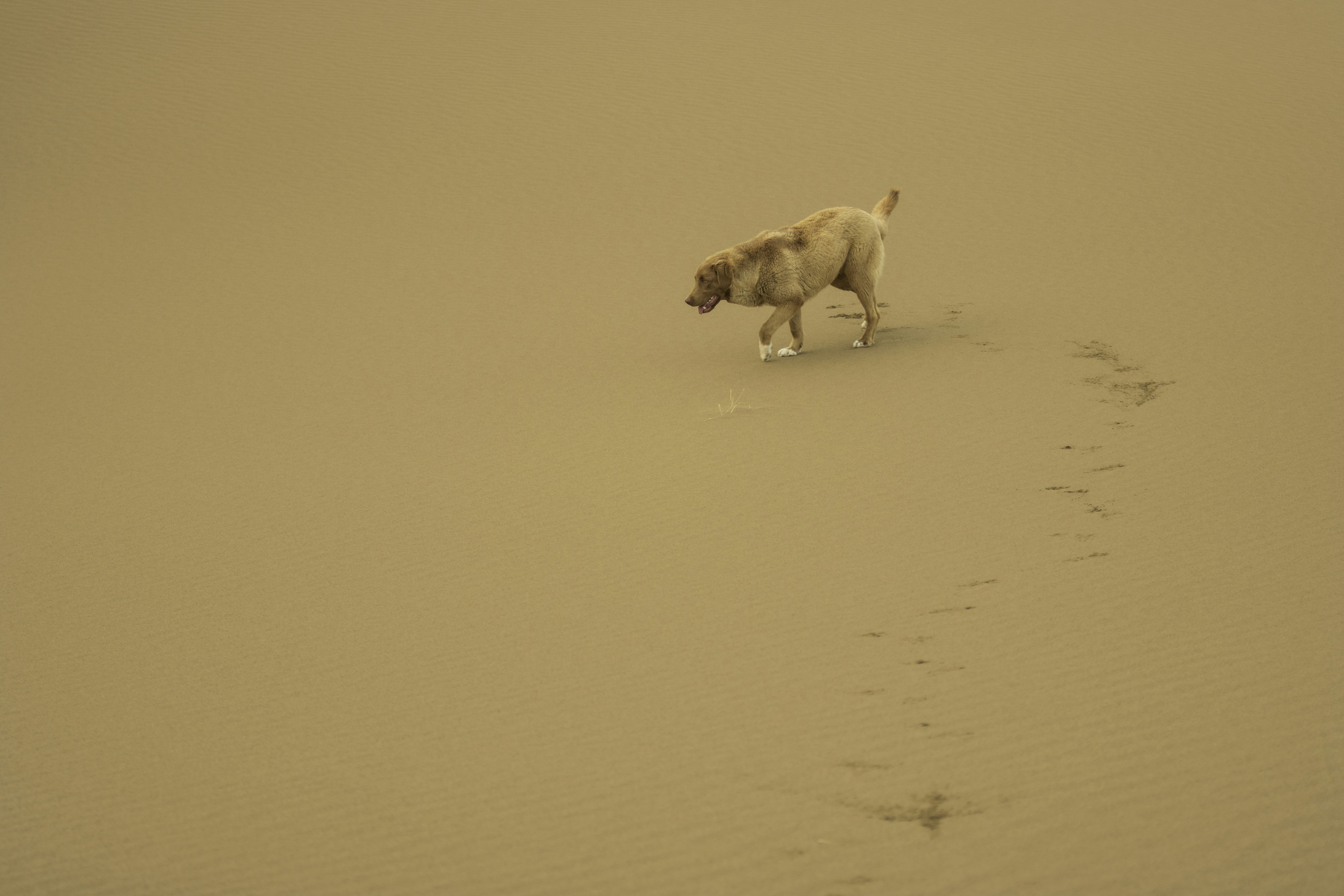 Support Healthy Breathing Through Activity