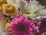 A close-up of a vibrant bouquet with mixed flowers.